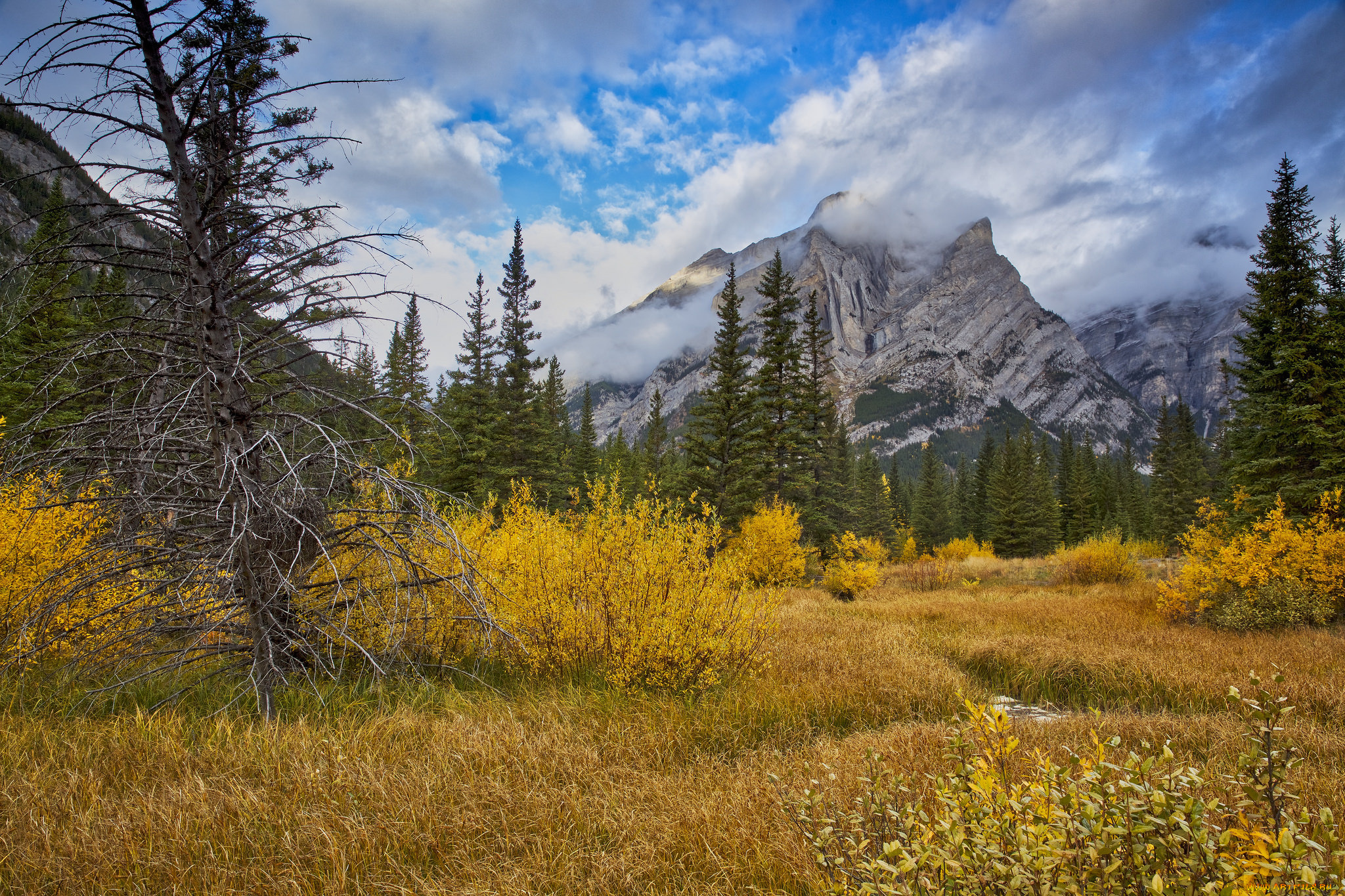 природа, горы, простор