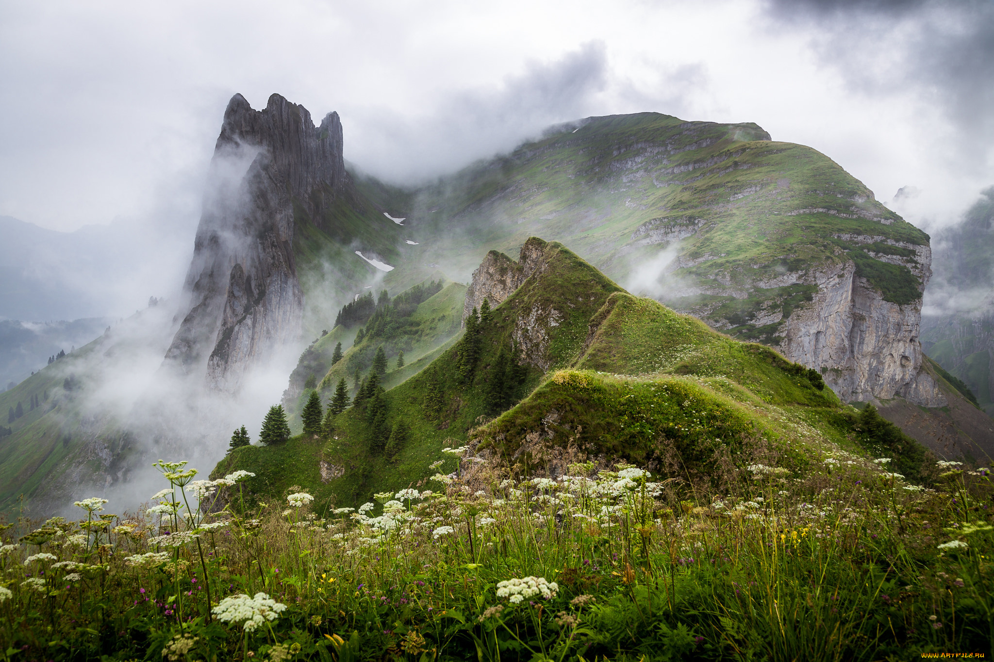 природа, горы, простор