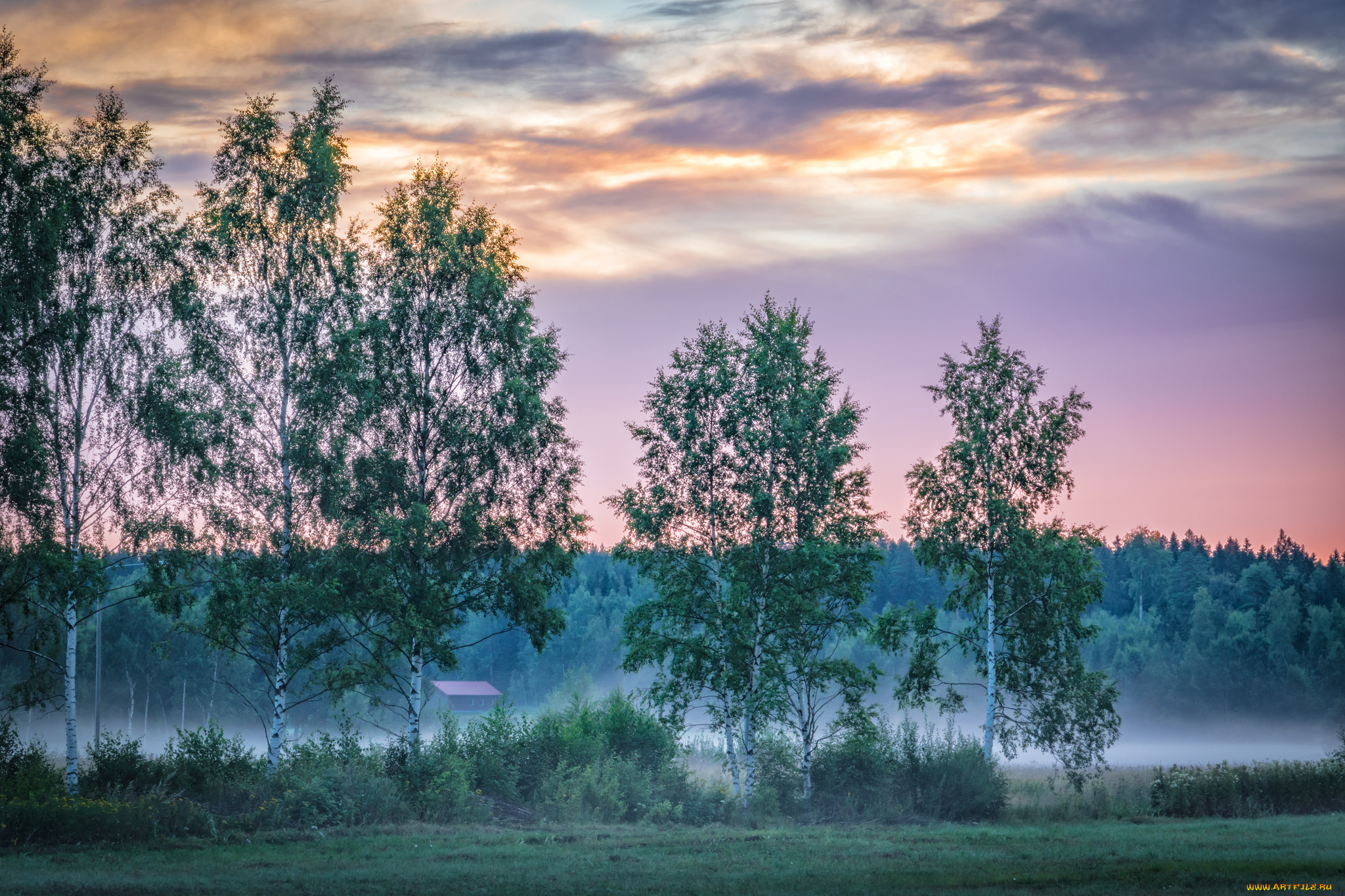 природа, пейзажи, простор