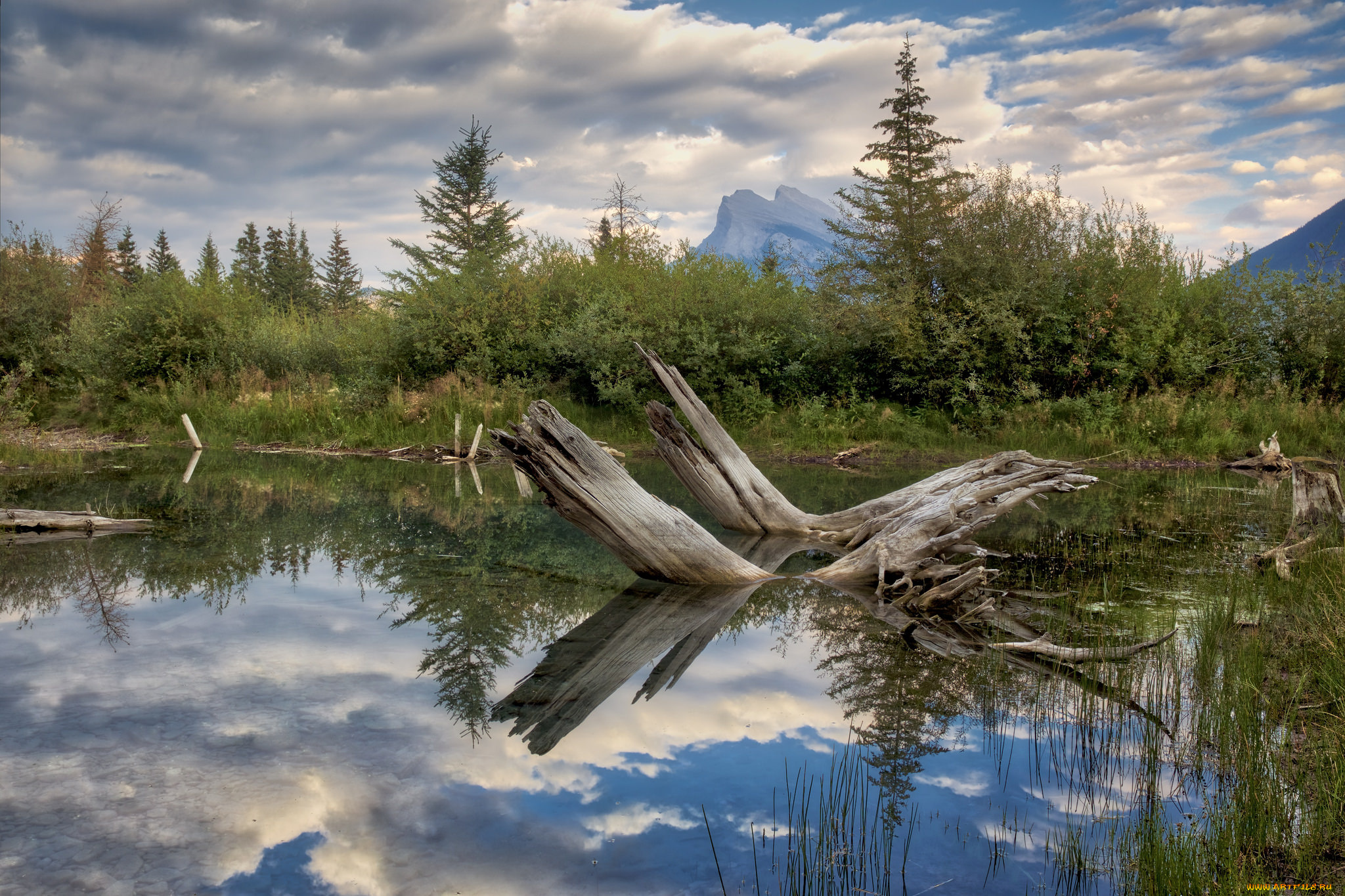 природа, реки, озера, простор