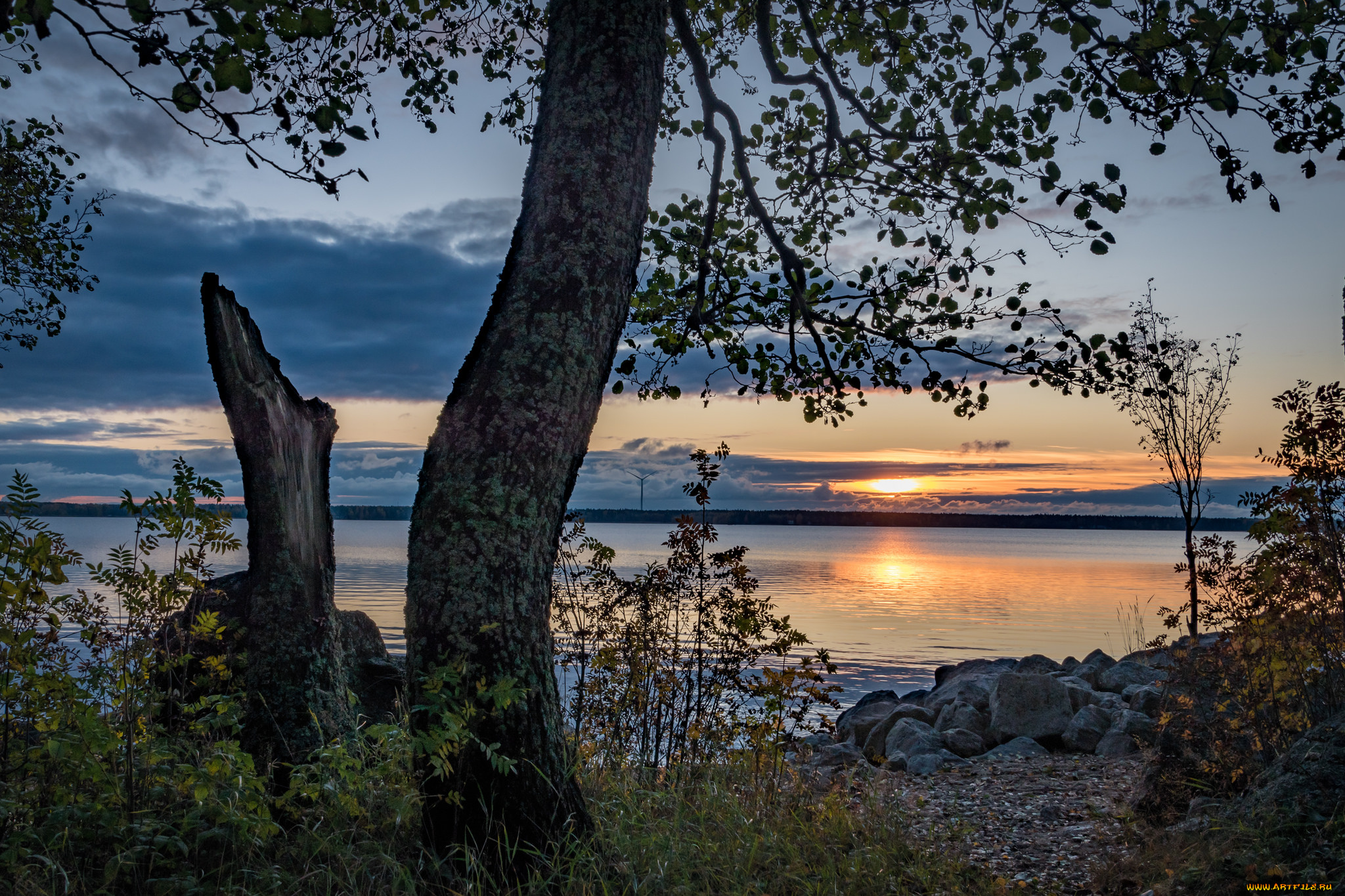 природа, реки, озера, простор