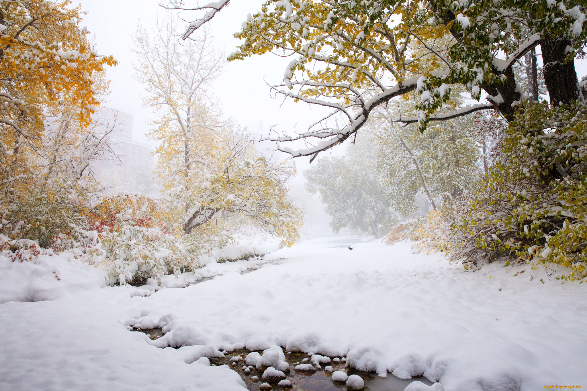 природа, зима, простор