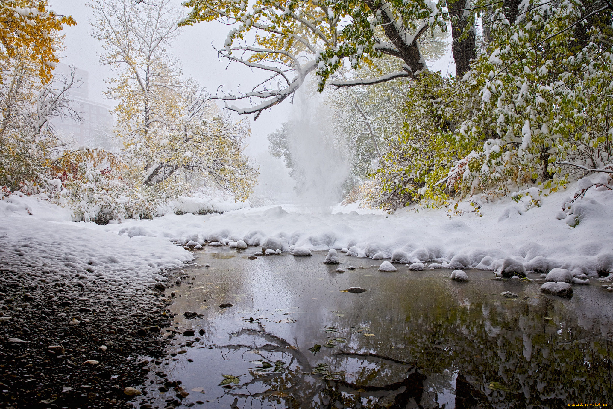 природа, зима, простор