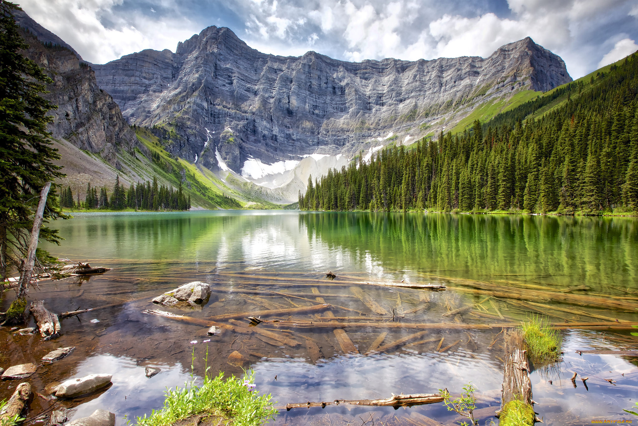 природа, реки, озера, простор