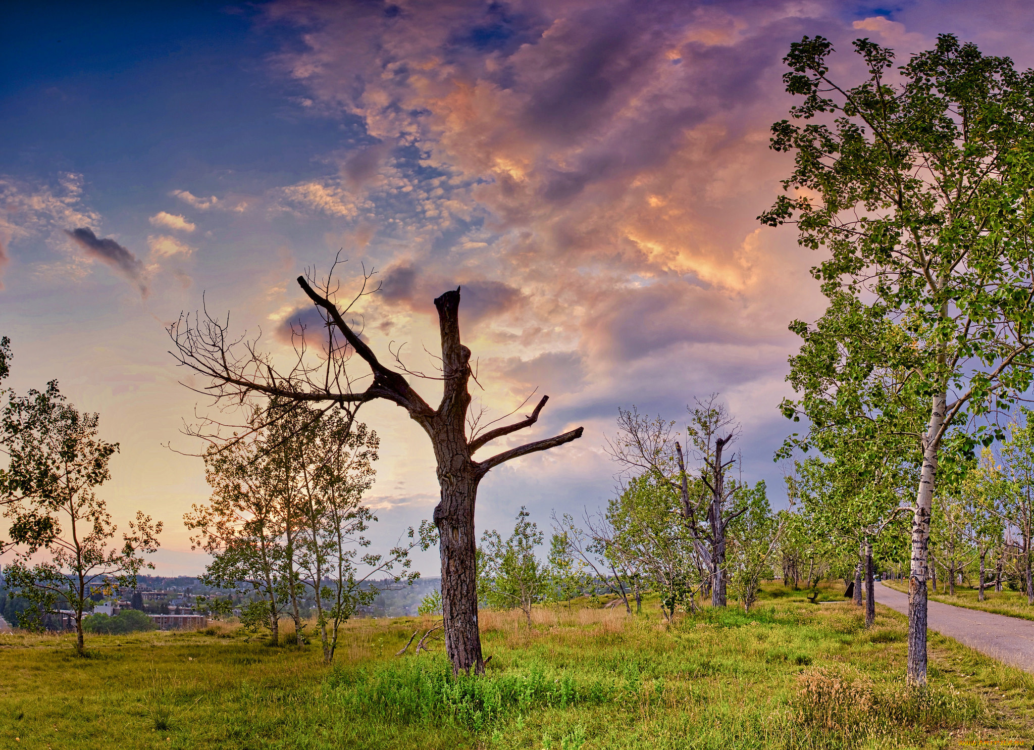природа, пейзажи, простор