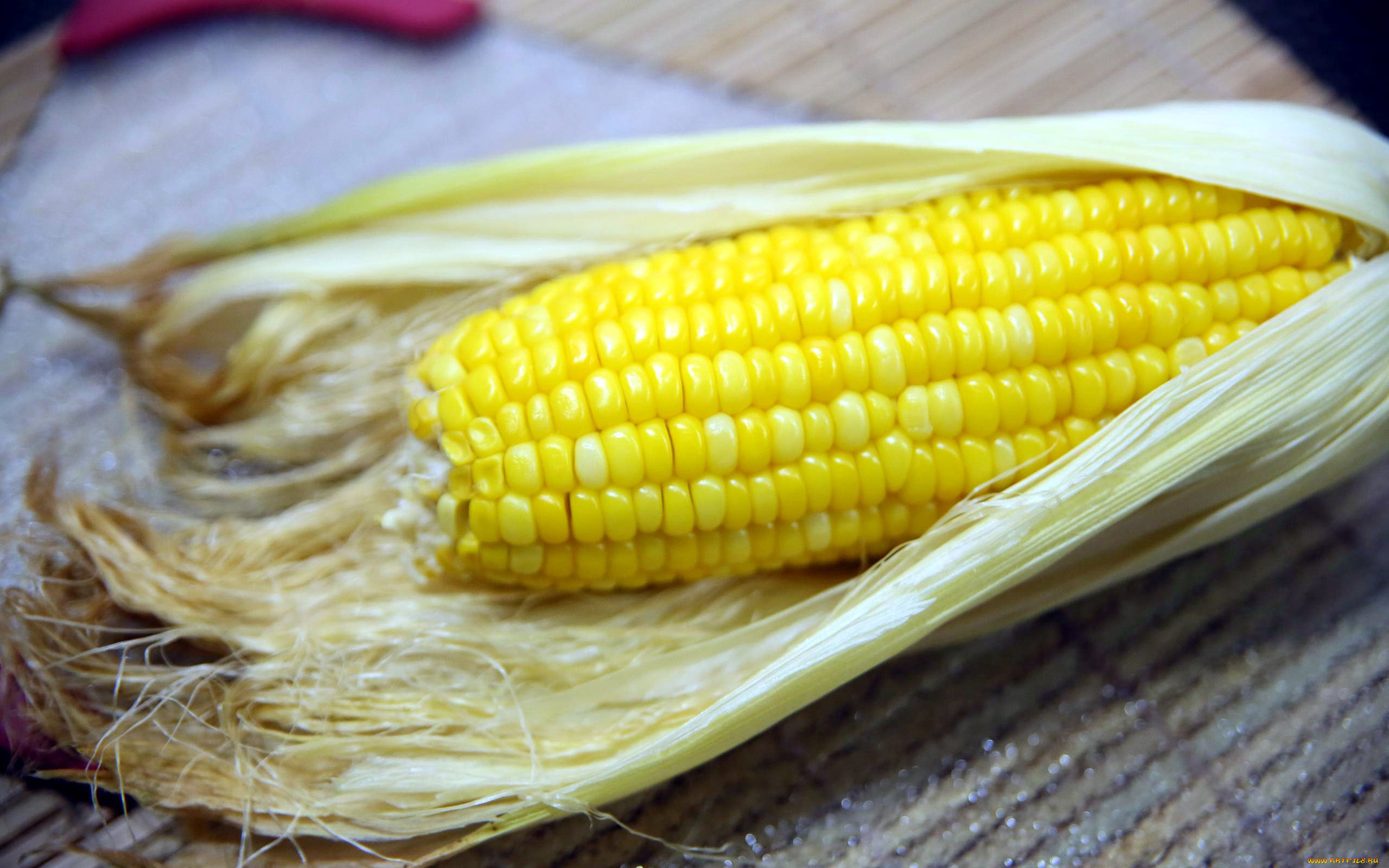 еда, кукуруза, початок