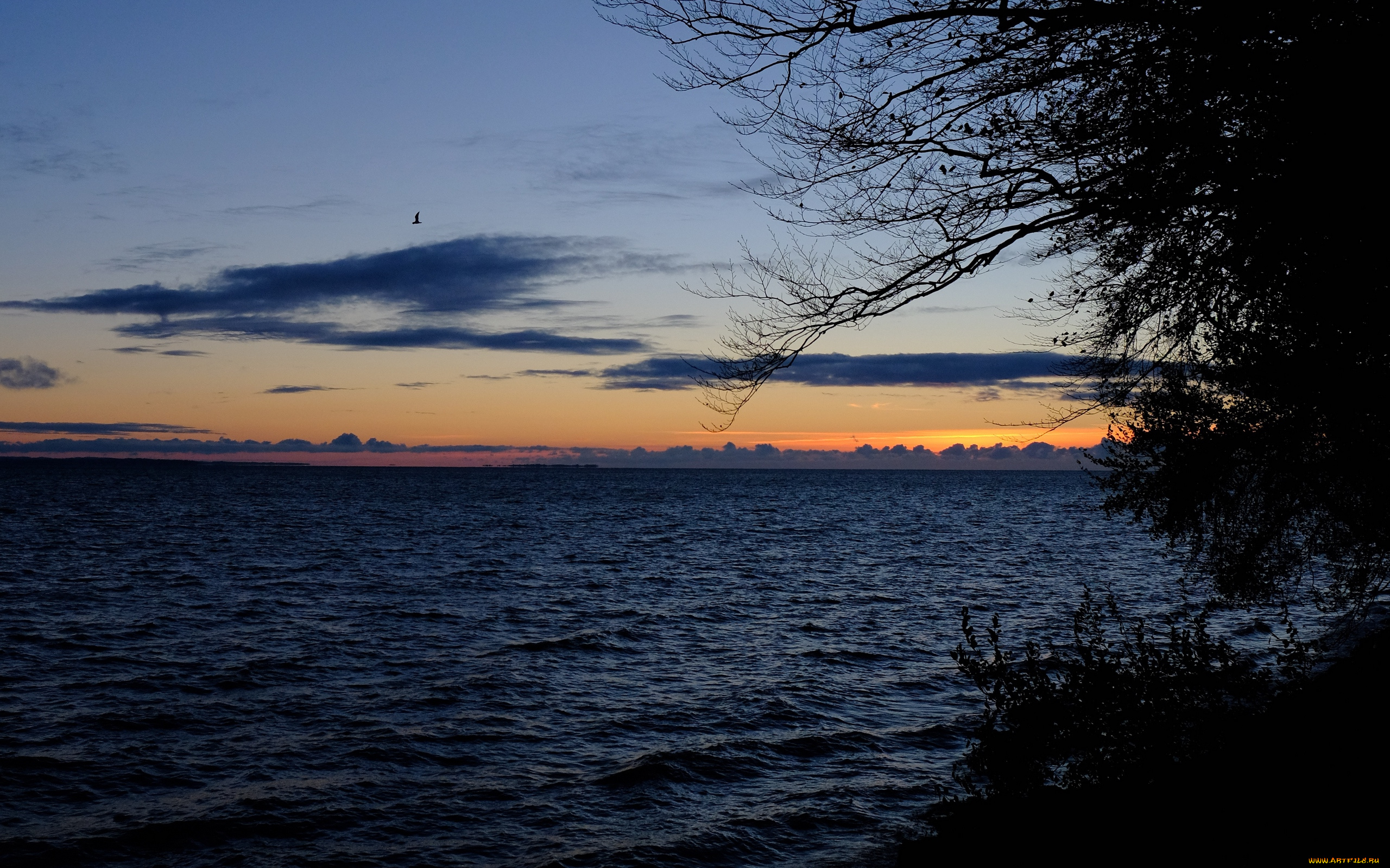 природа, восходы, закаты, закат