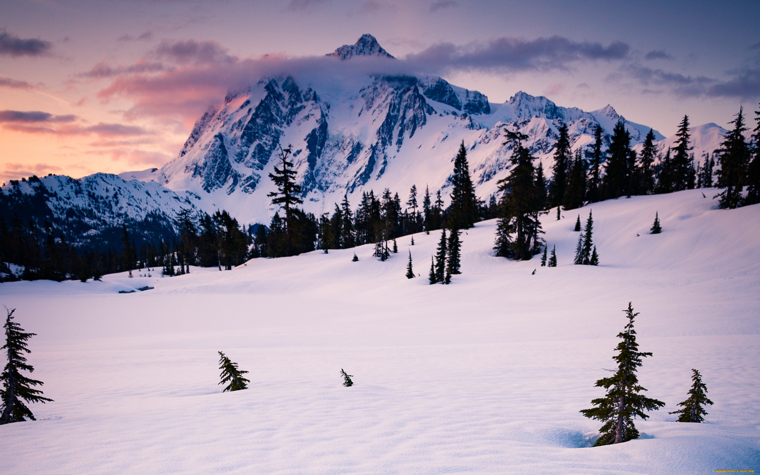 природа, зима, снег