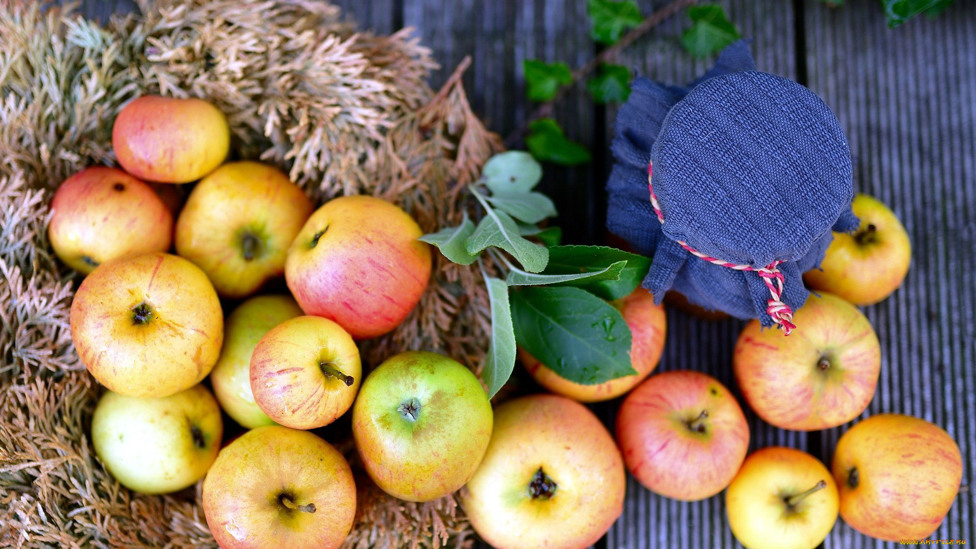 еда, яблоки, банка, урожай