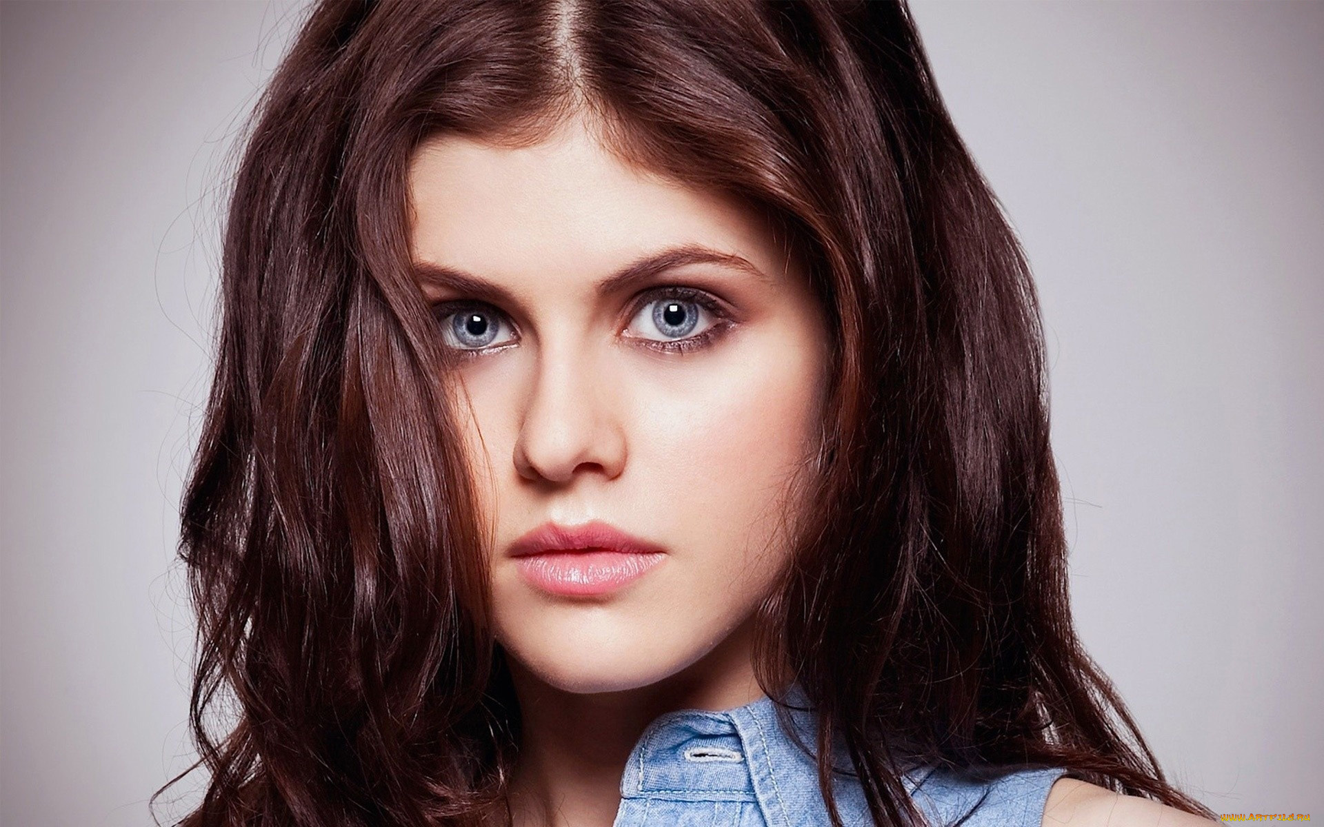 девушки, alexandra, daddario, актриса