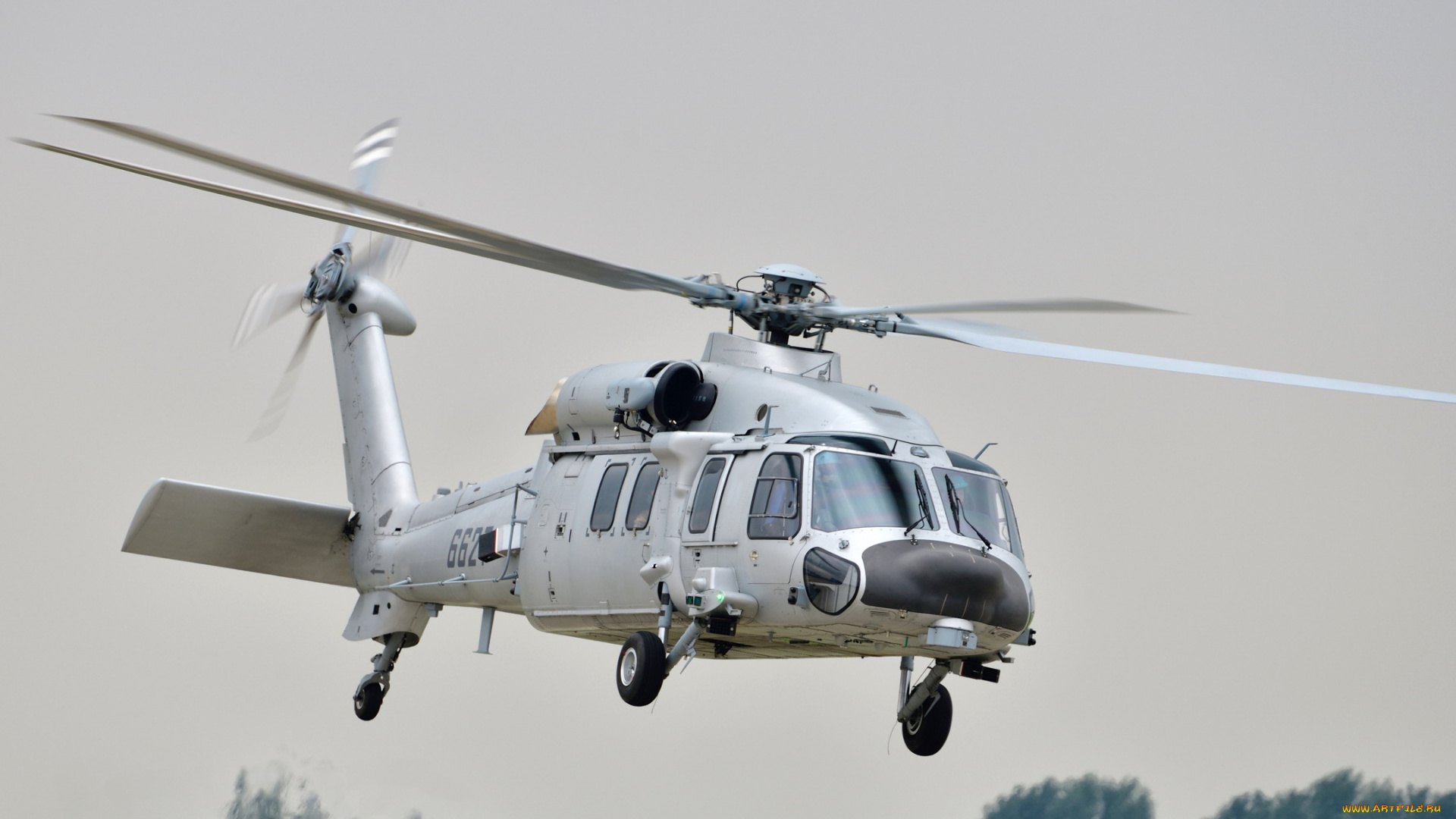 авиация, вертолёты, военный, ввс, ноак, z20, военная, машина, полет, вид, спереди