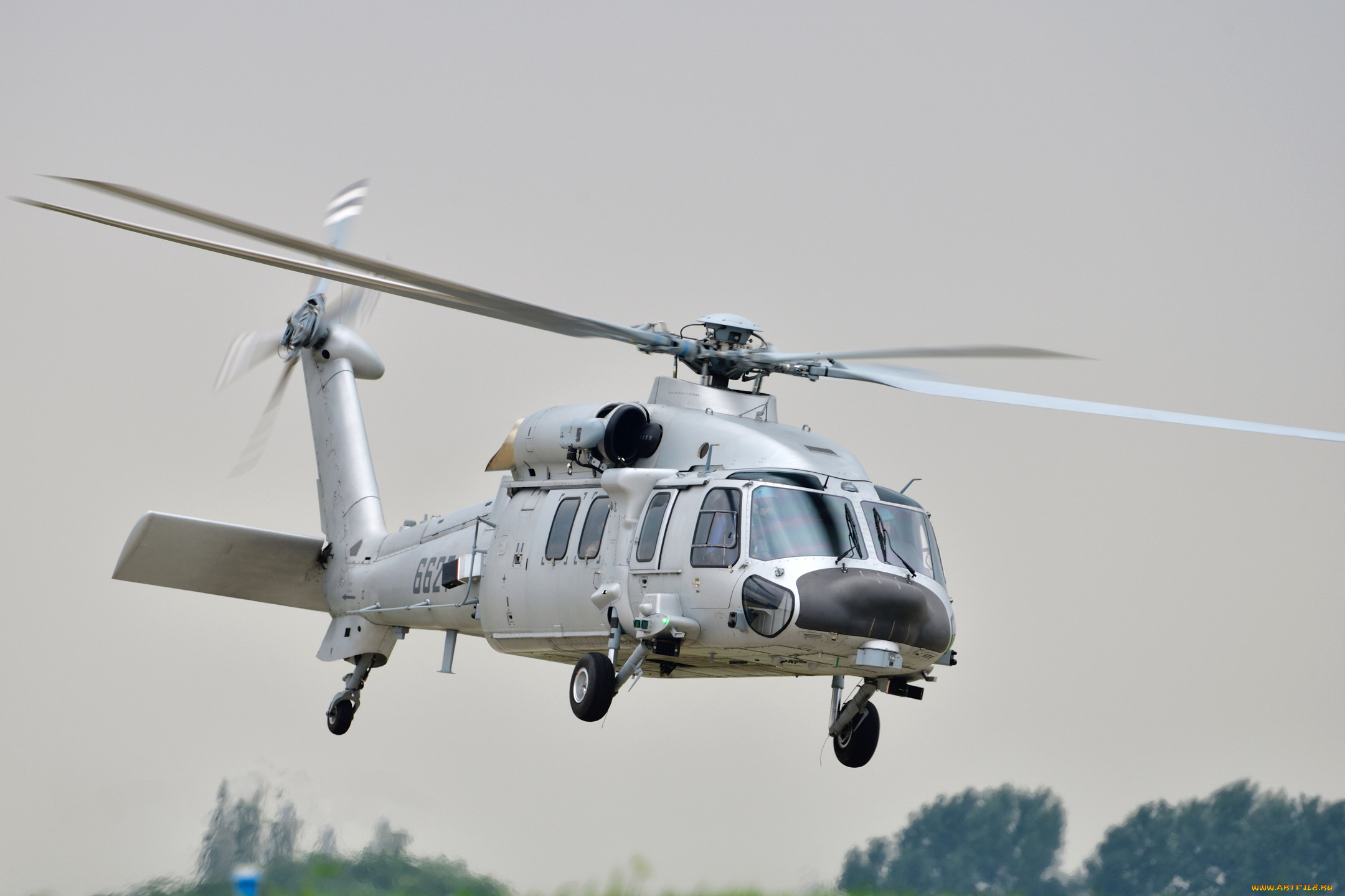 авиация, вертолёты, военный, ввс, ноак, z20, военная, машина, полет, вид, спереди