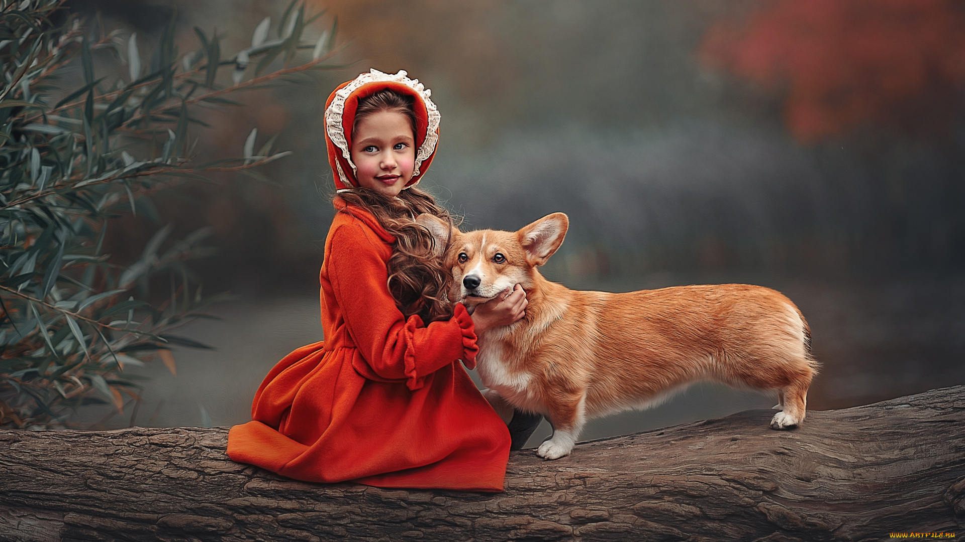 разное, дети, девочка, собака