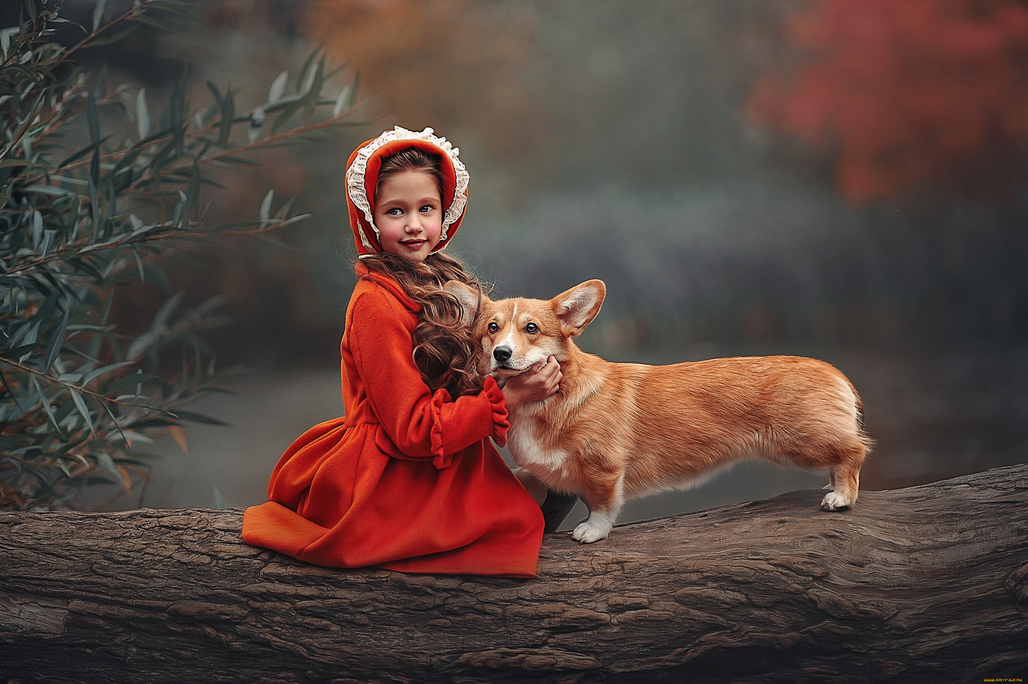 разное, дети, девочка, собака
