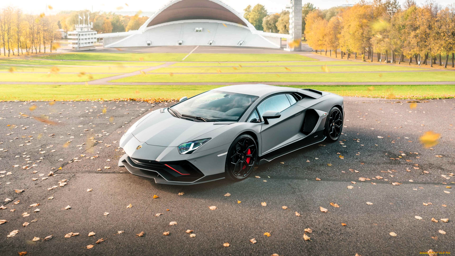 автомобили, lamborghini, серебристый, площадка, лужайка, здания, лес, осень