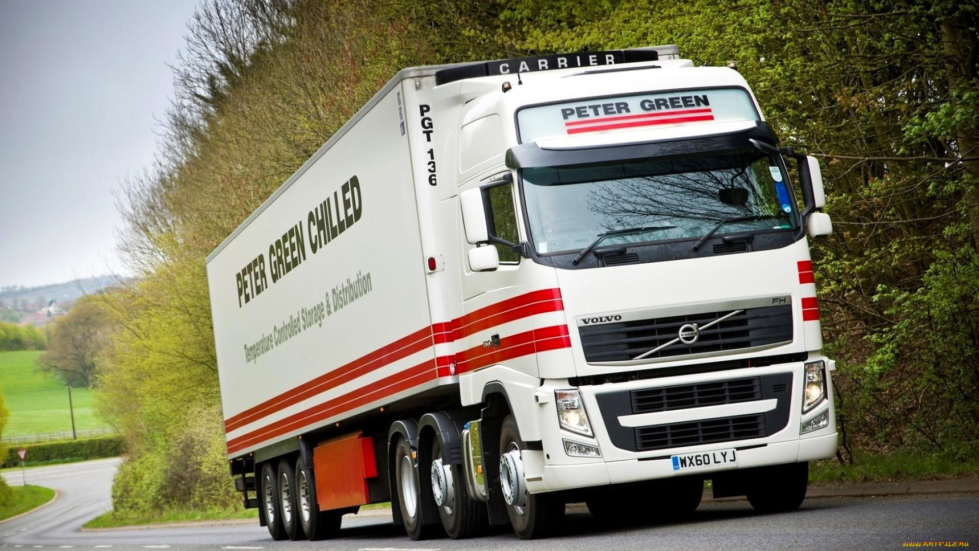 автомобили, volvo, trucks, грузовик, белый, дорога, шоссе, лес