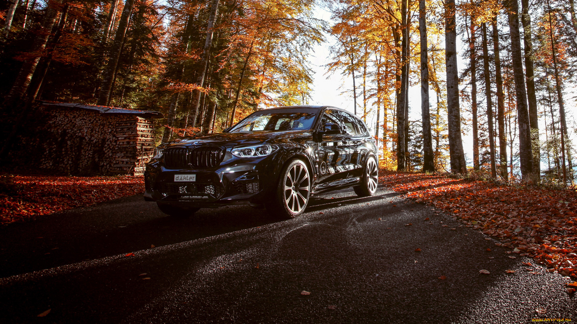 bmw, x3, m, competition, line, 2019, автомобили, bmw, черный, дорога, деревья, лес, листья, дрова, осень