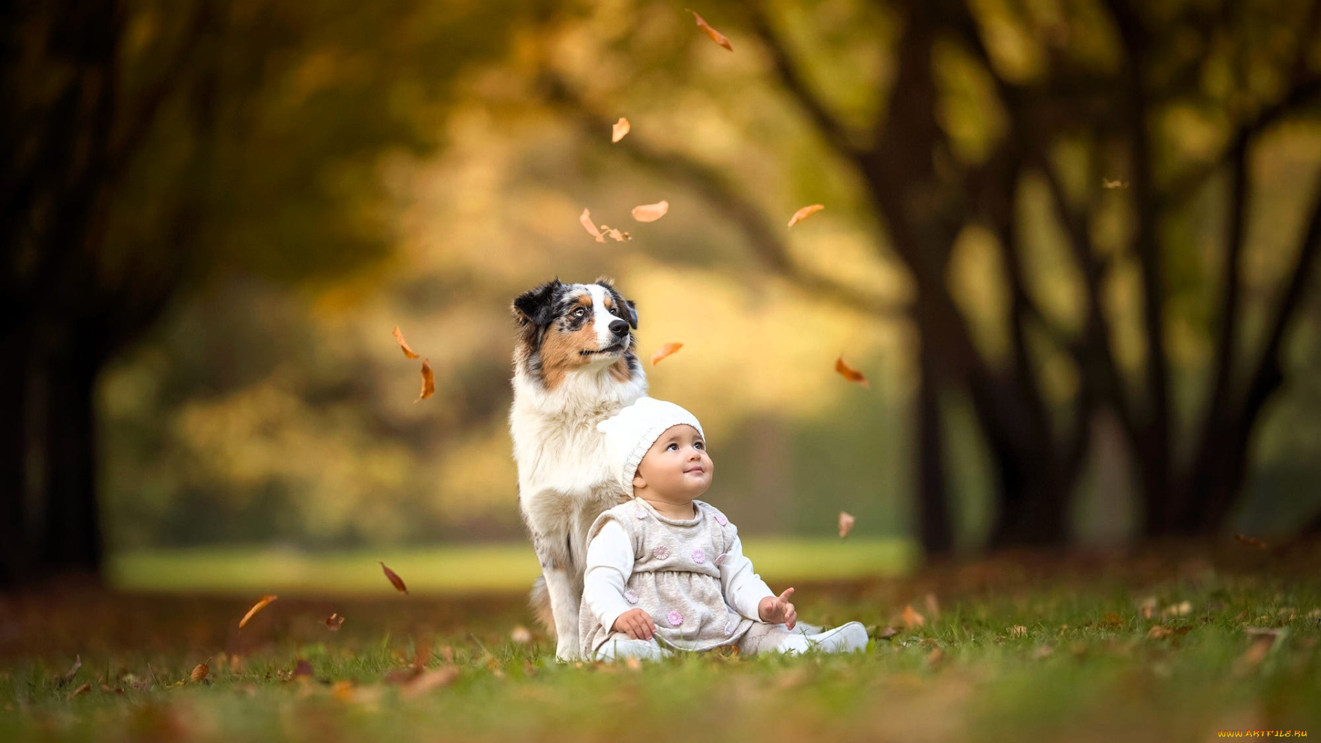 разное, дети, ребенок, собака, листья, листопад, осень, деревья
