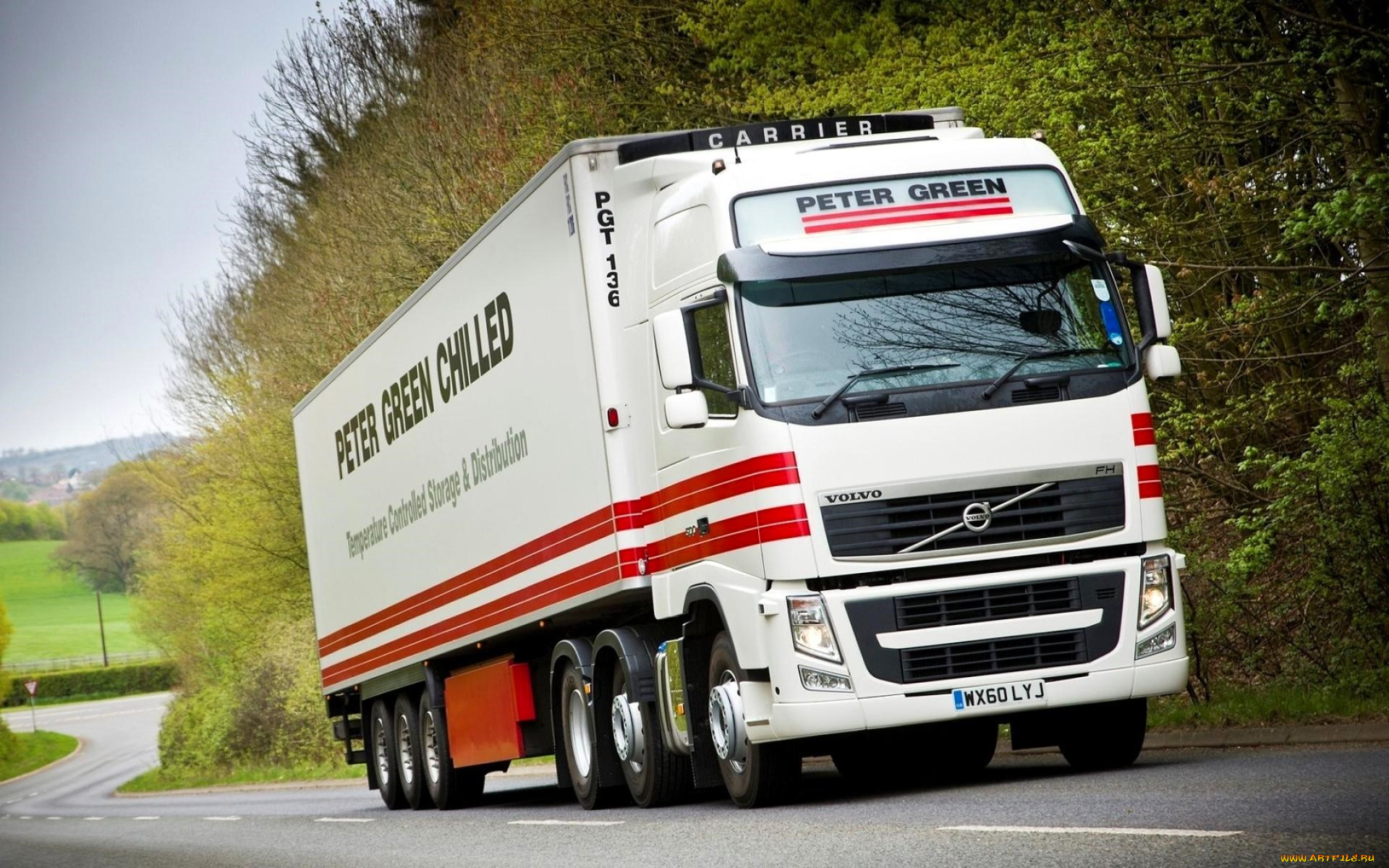 автомобили, volvo, trucks, грузовик, белый, дорога, шоссе, лес