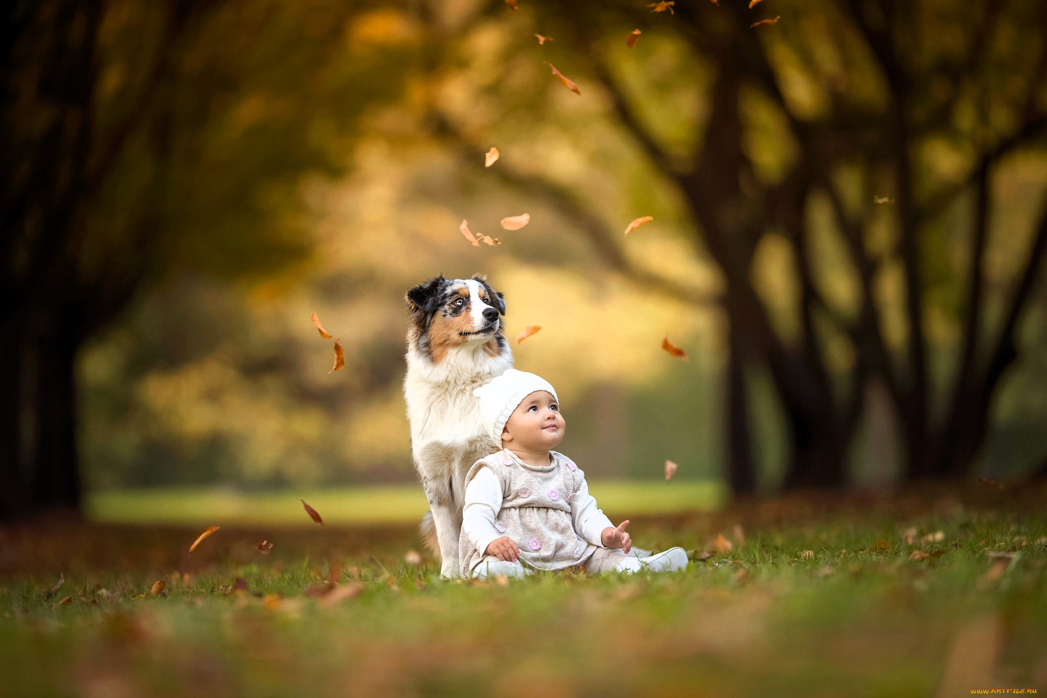 разное, дети, ребенок, собака, листья, листопад, осень, деревья