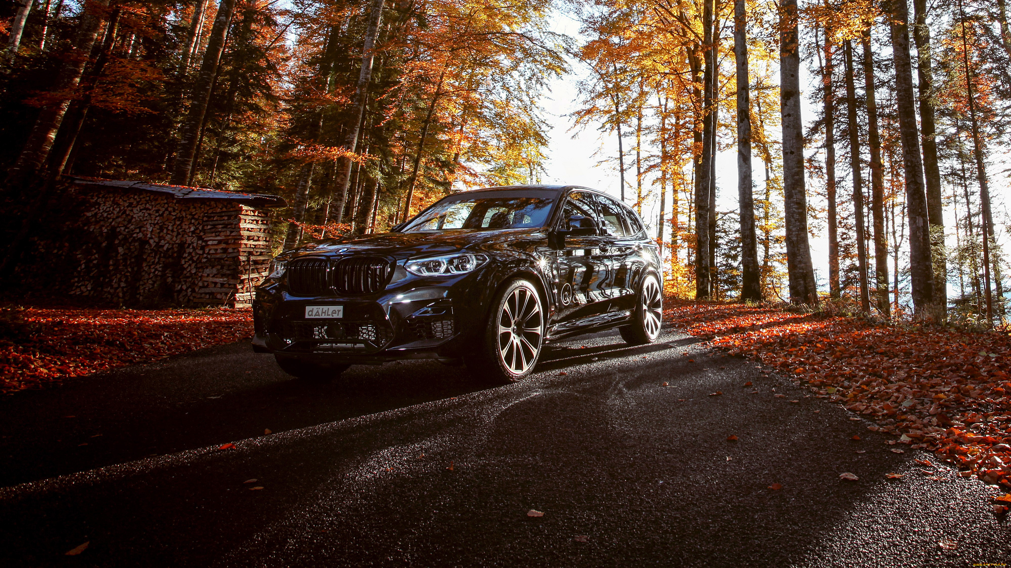bmw, x3, m, competition, line, 2019, автомобили, bmw, черный, дорога, деревья, лес, листья, дрова, осень