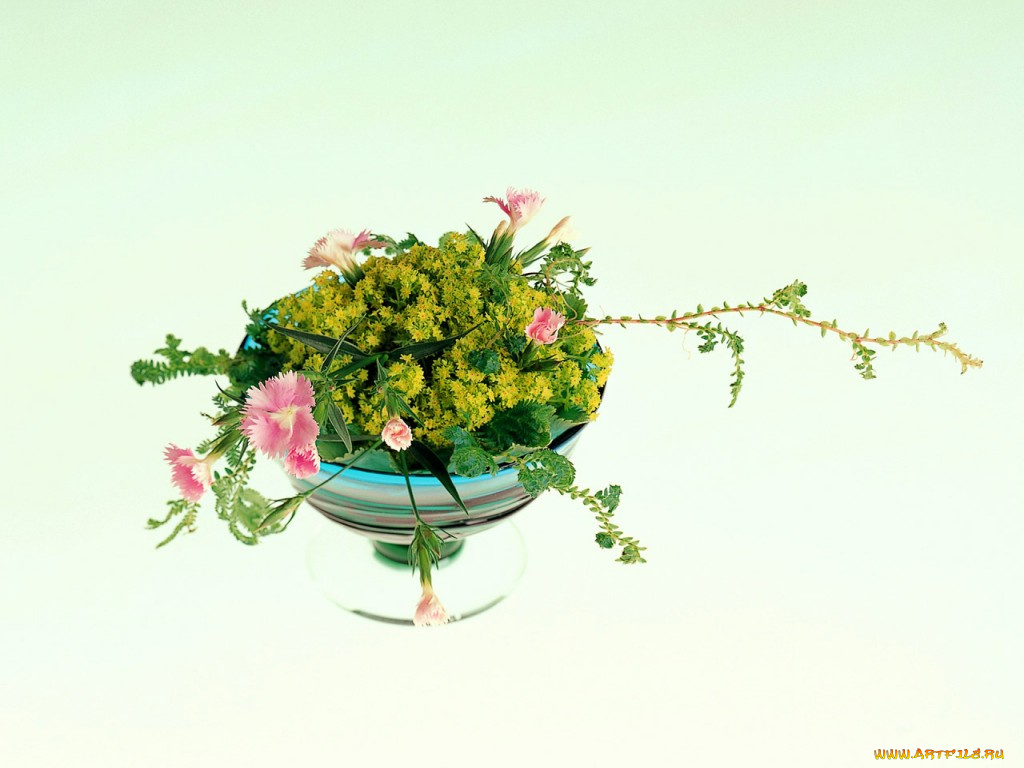 цветы, букеты, композиции