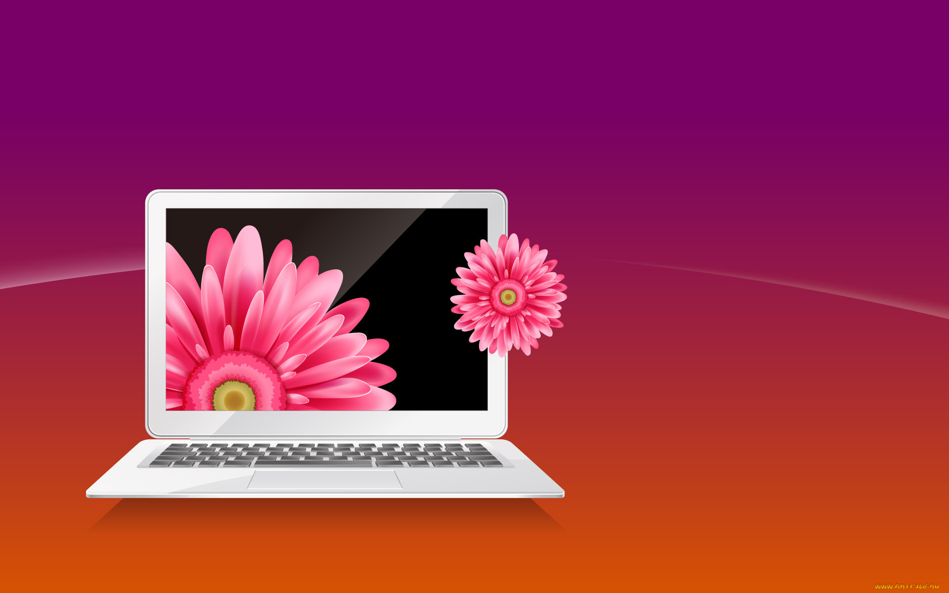 векторная, графика