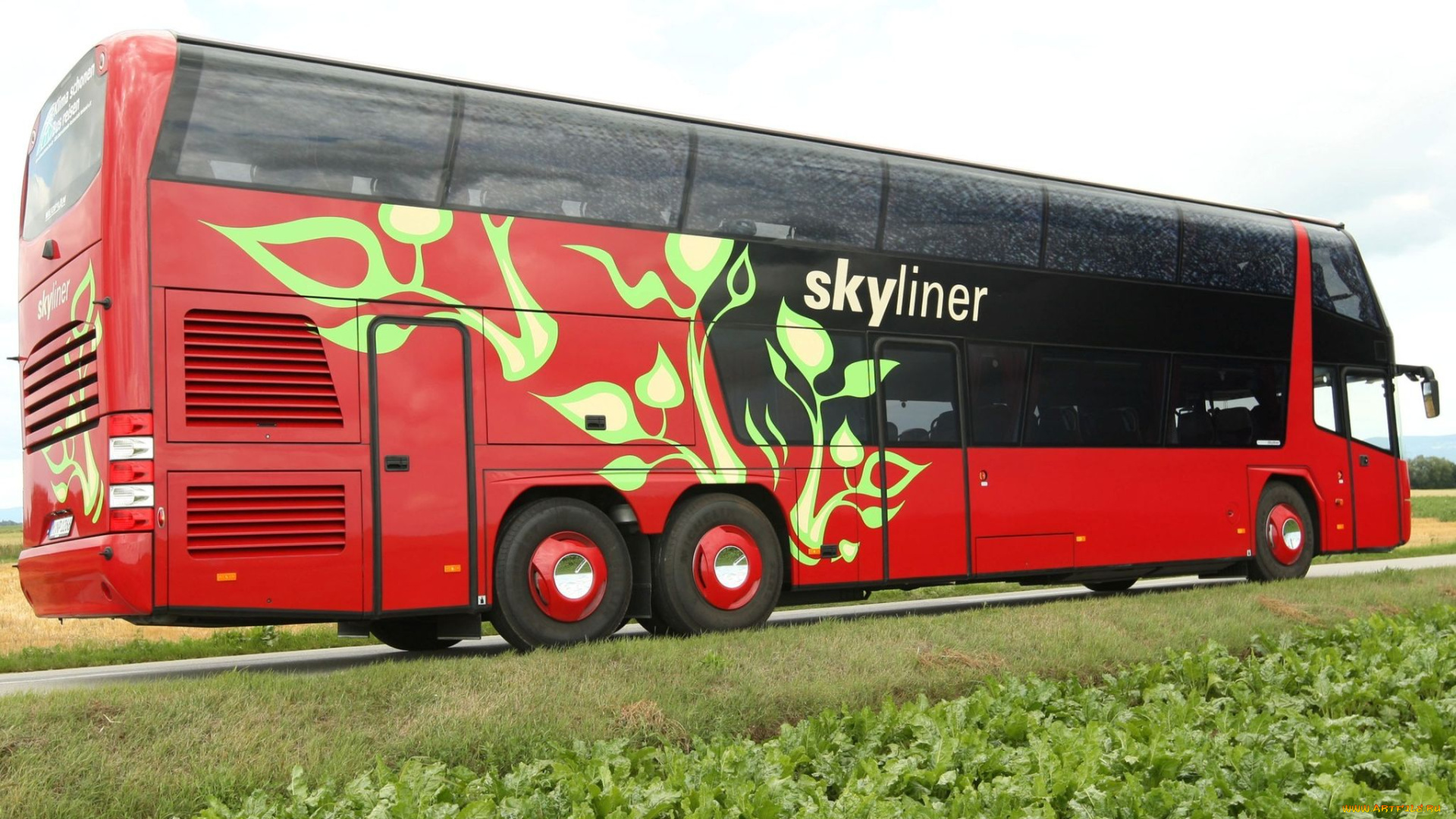 автомобили, автобусы