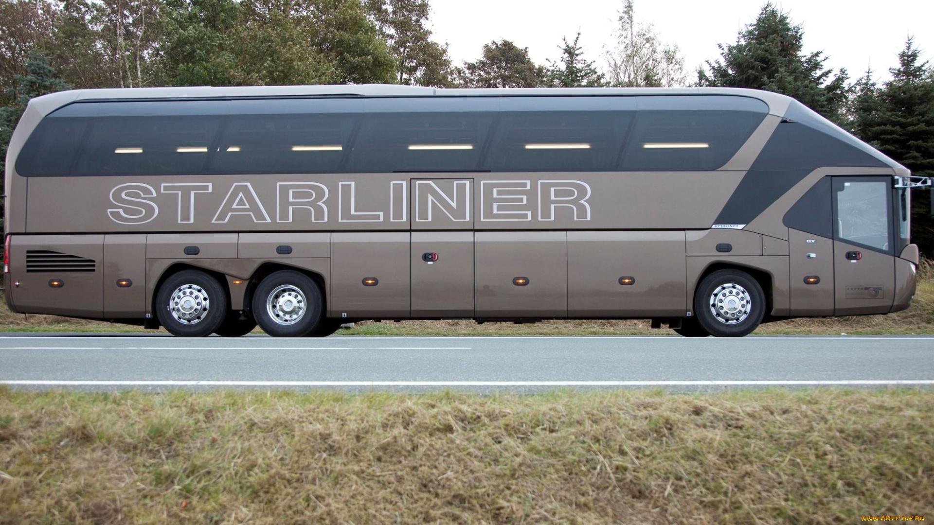 автомобили, автобусы