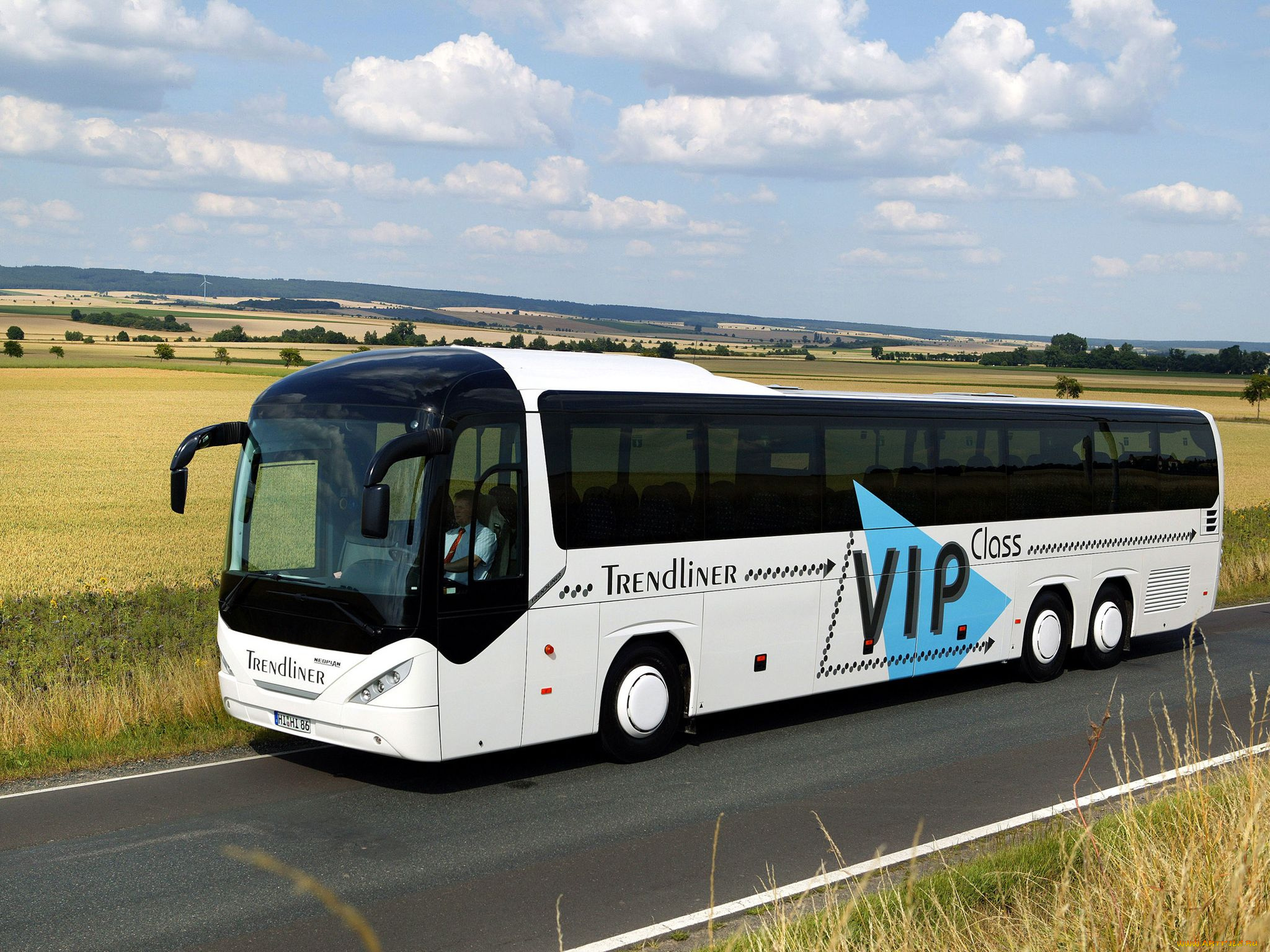 автомобили, автобусы