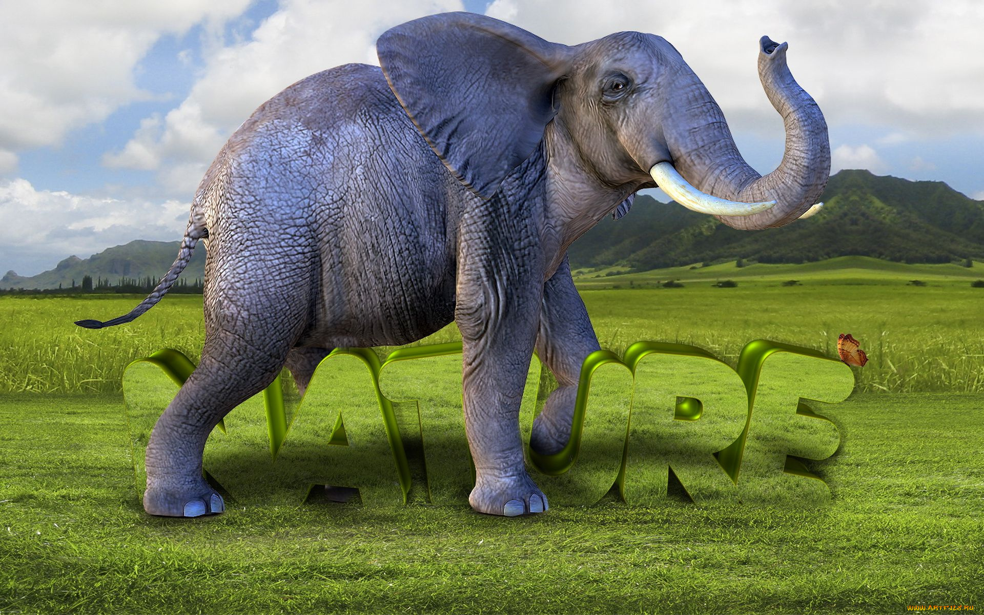 3д, графика, animals, животные