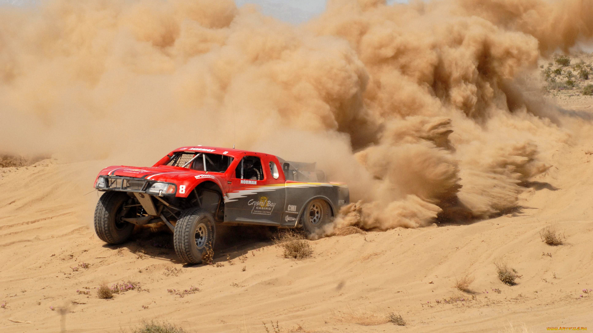 спорт, авторалли