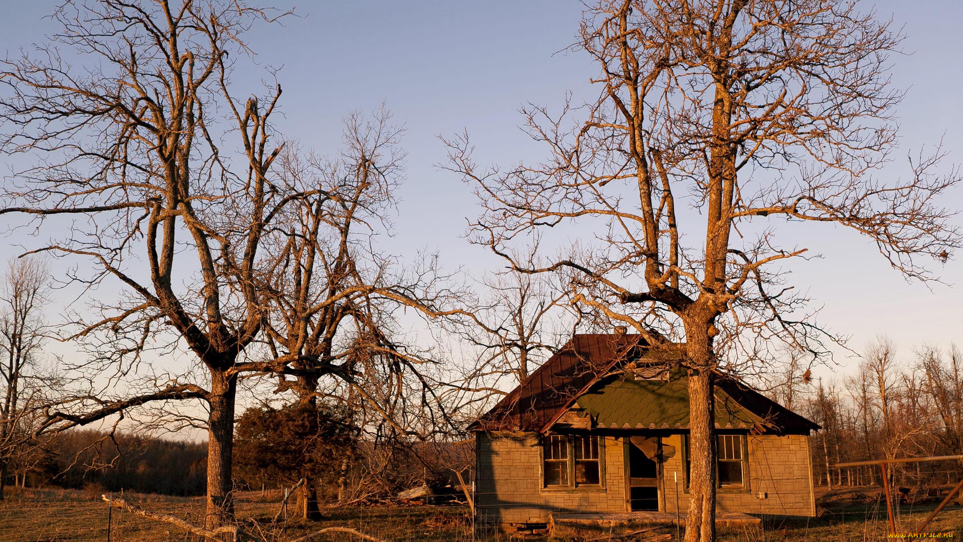 разное, развалины, руины, металлолом, дом, деревья, осень