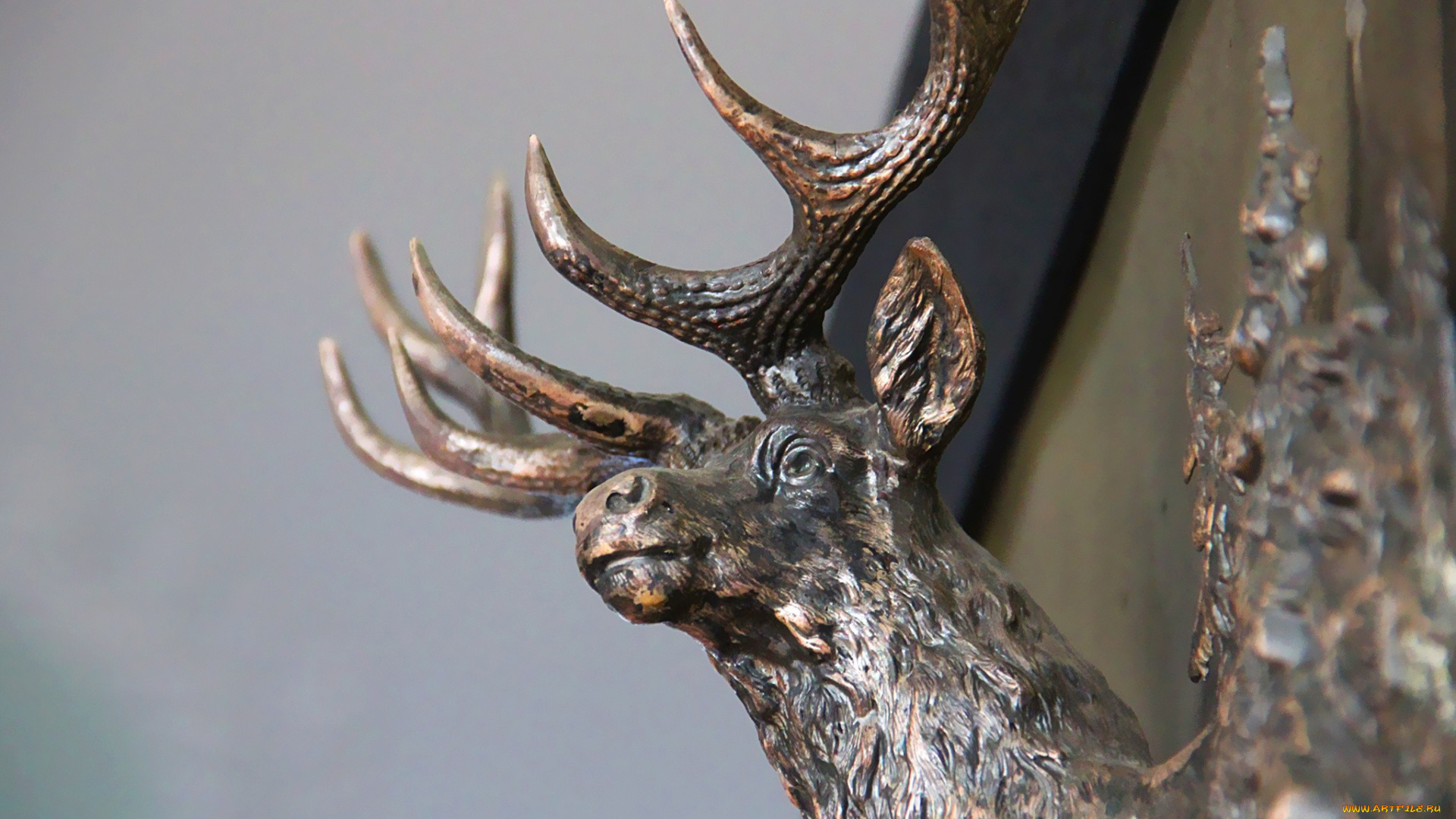 разное, рельефы, статуи, музейные, экспонаты, рога
