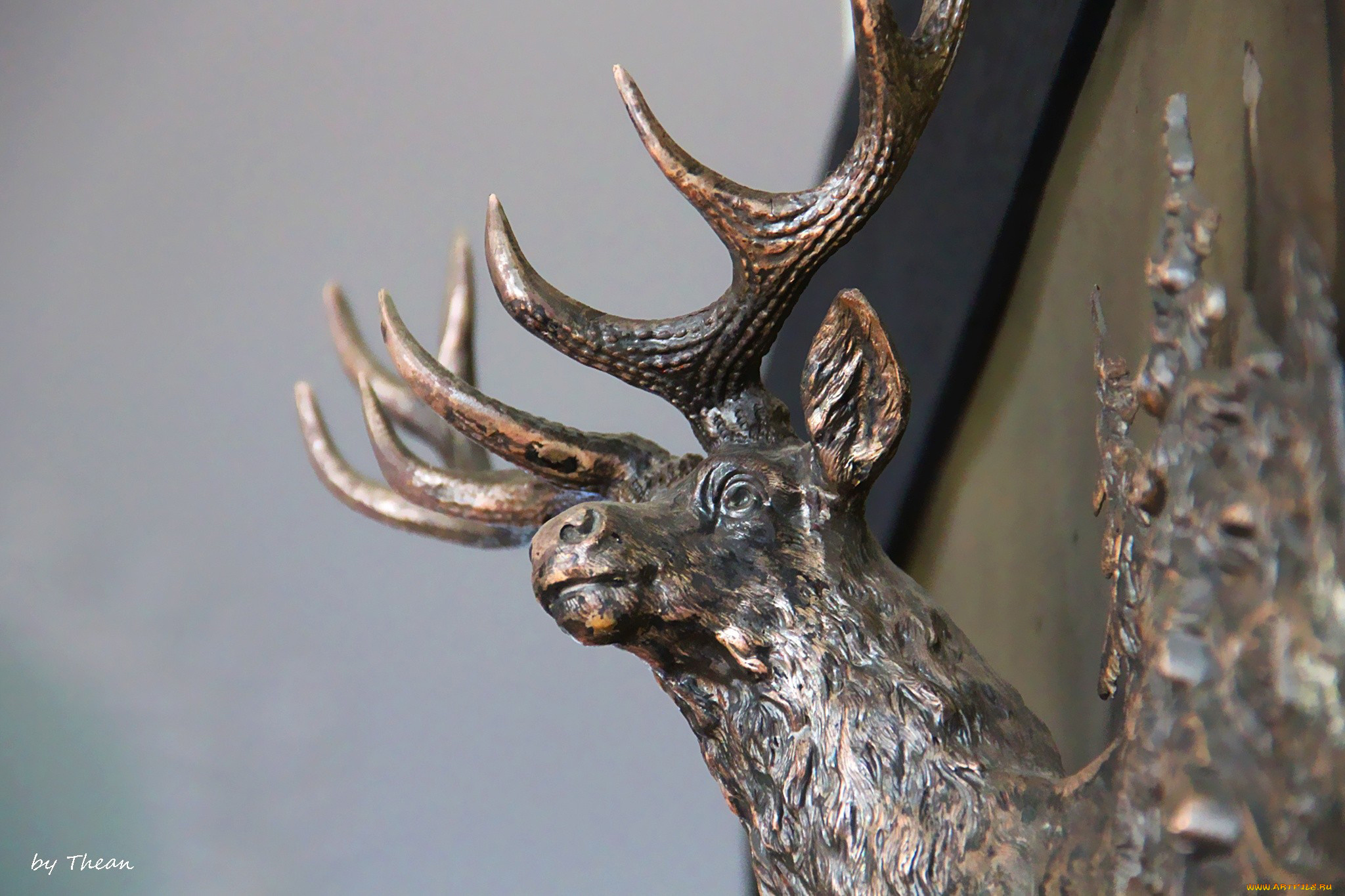 разное, рельефы, статуи, музейные, экспонаты, рога