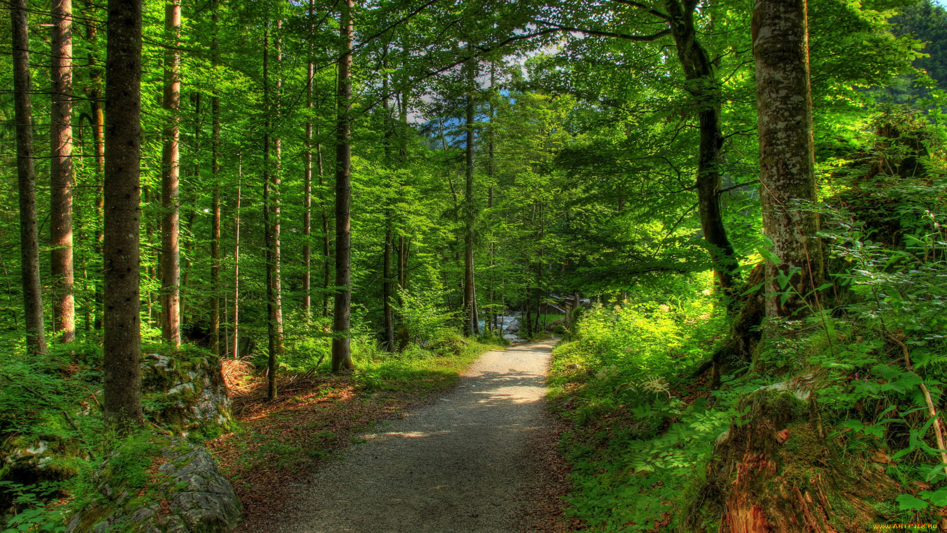 природа, дороги, лес, дорога, германия, бавария, рамзау