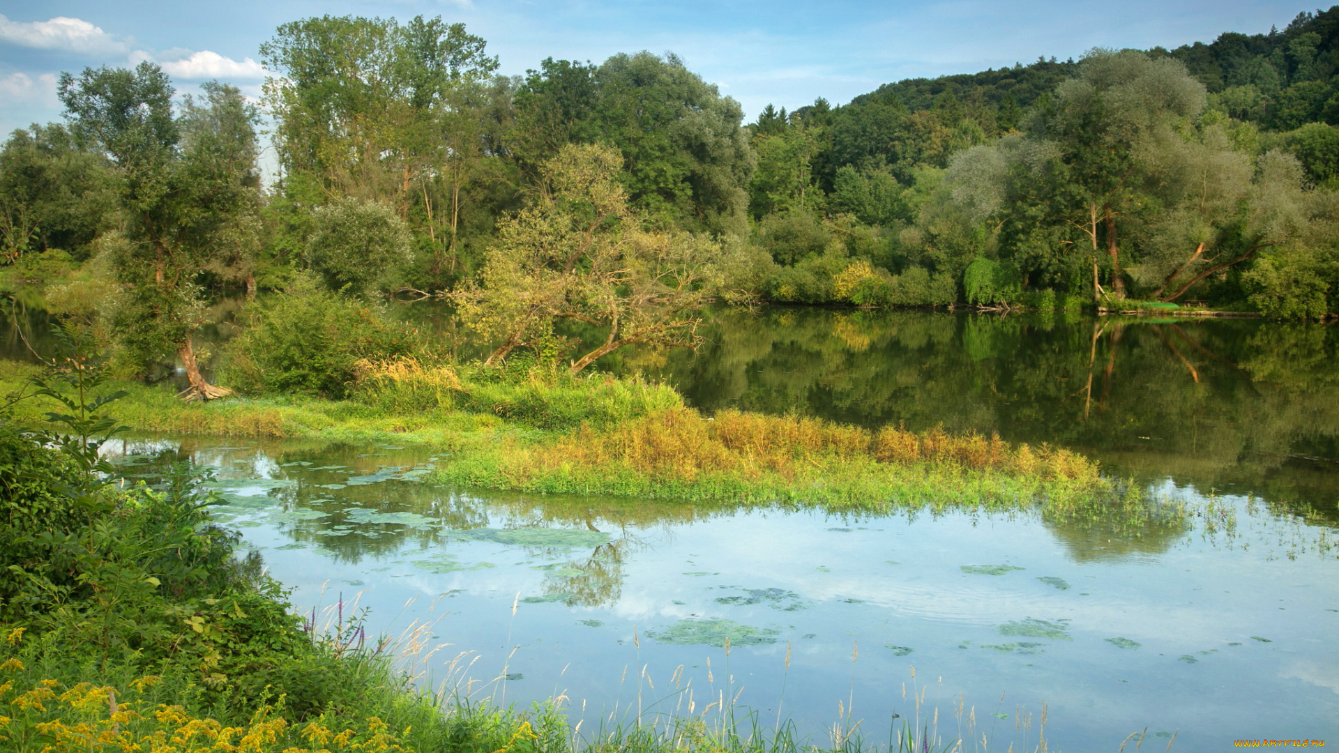 природа, реки, озера, германия, бавария, нидерайхбах, река, лес, побережье
