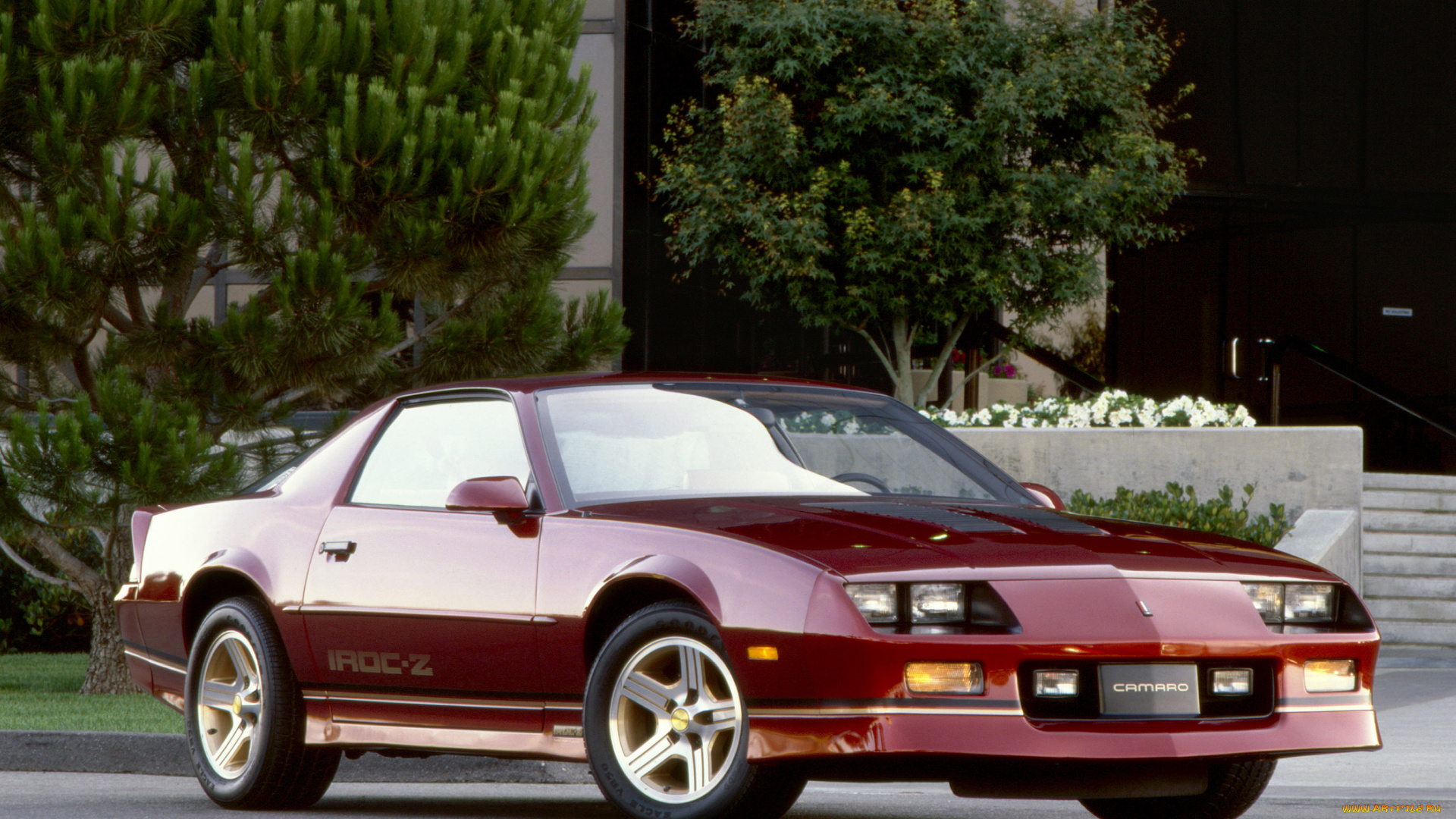 автомобили, camaro