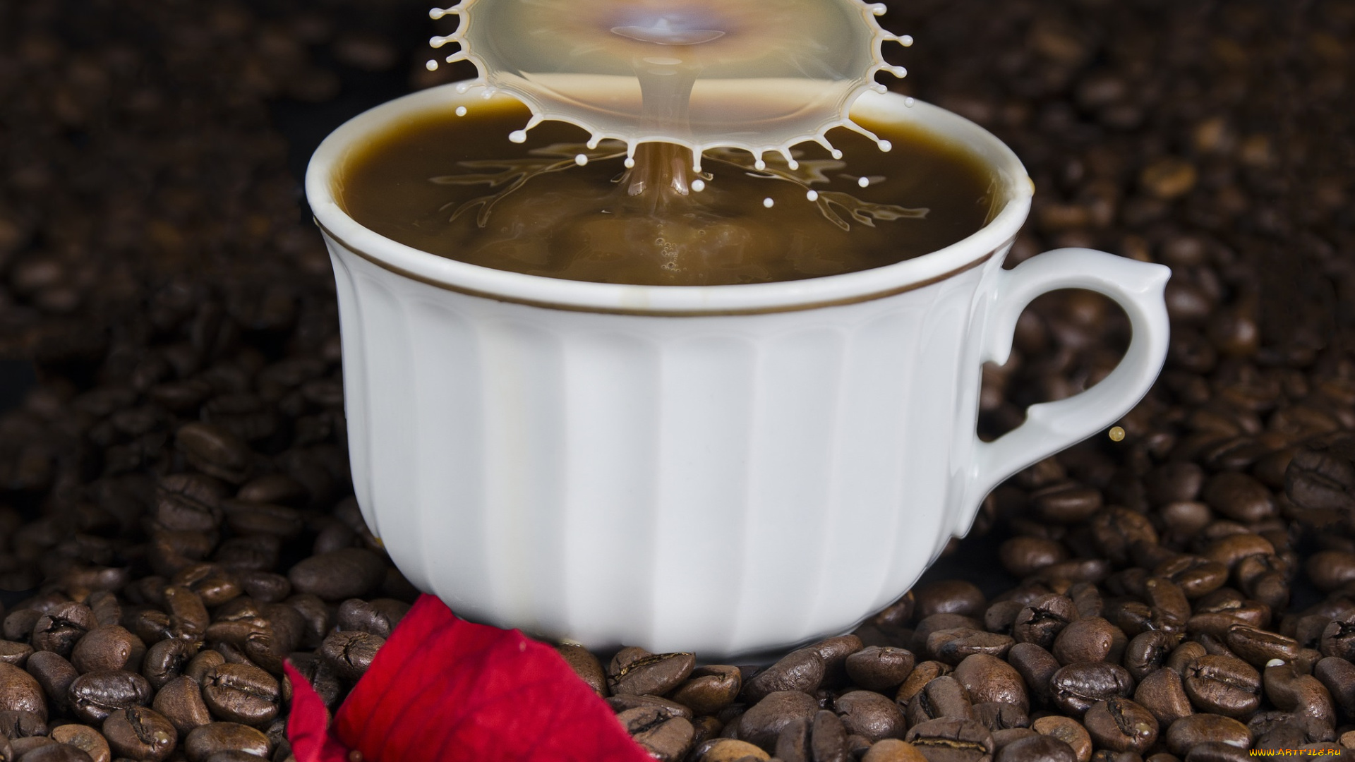 еда, кофе, , кофейные, зёрна, брызги, капля, молоко, зерна, чашка