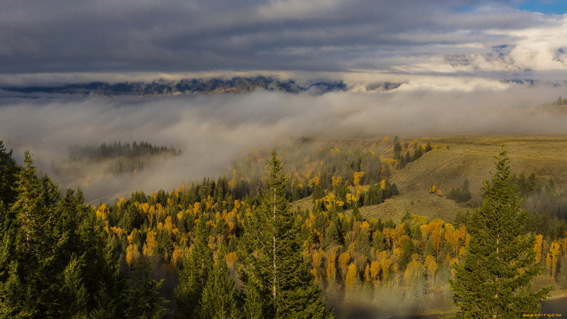 grand, teton, national, park, wyoming, природа, пейзажи, облака, лес, парк, туман
