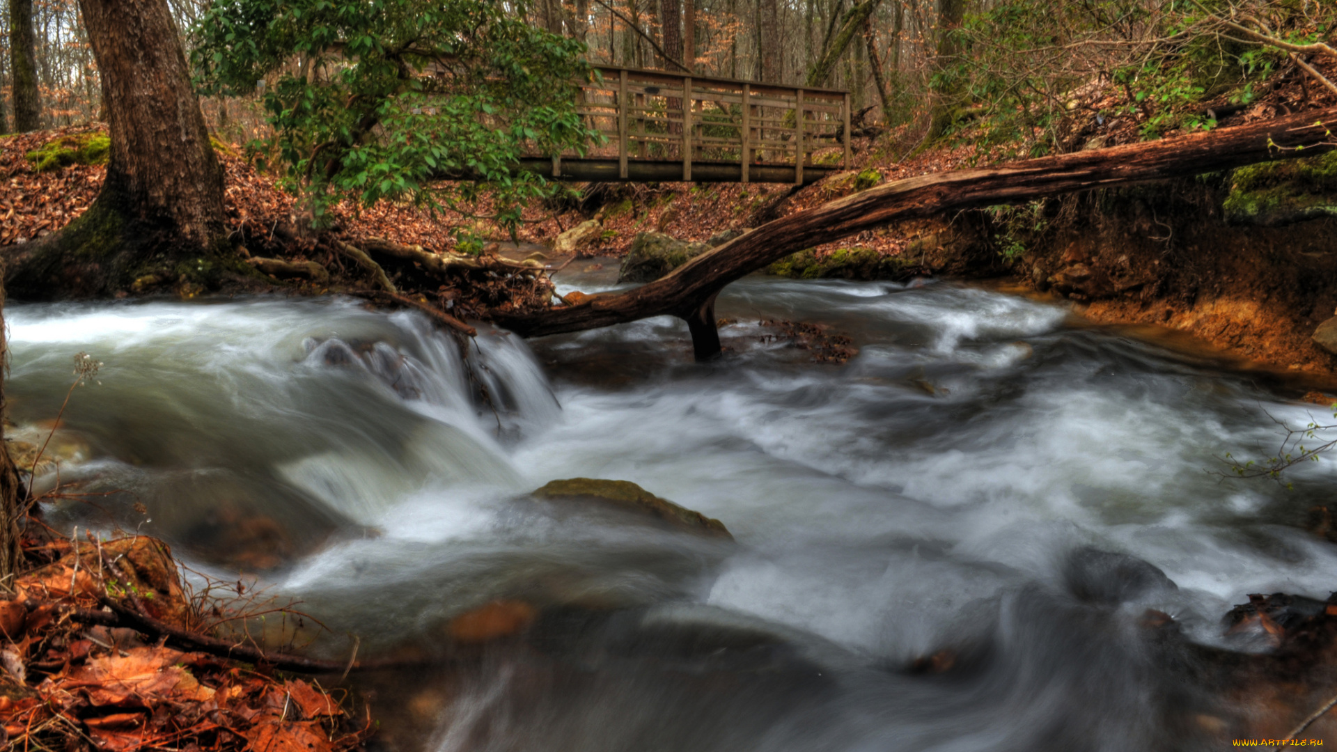 природа, реки, озера, лес, водопад, река