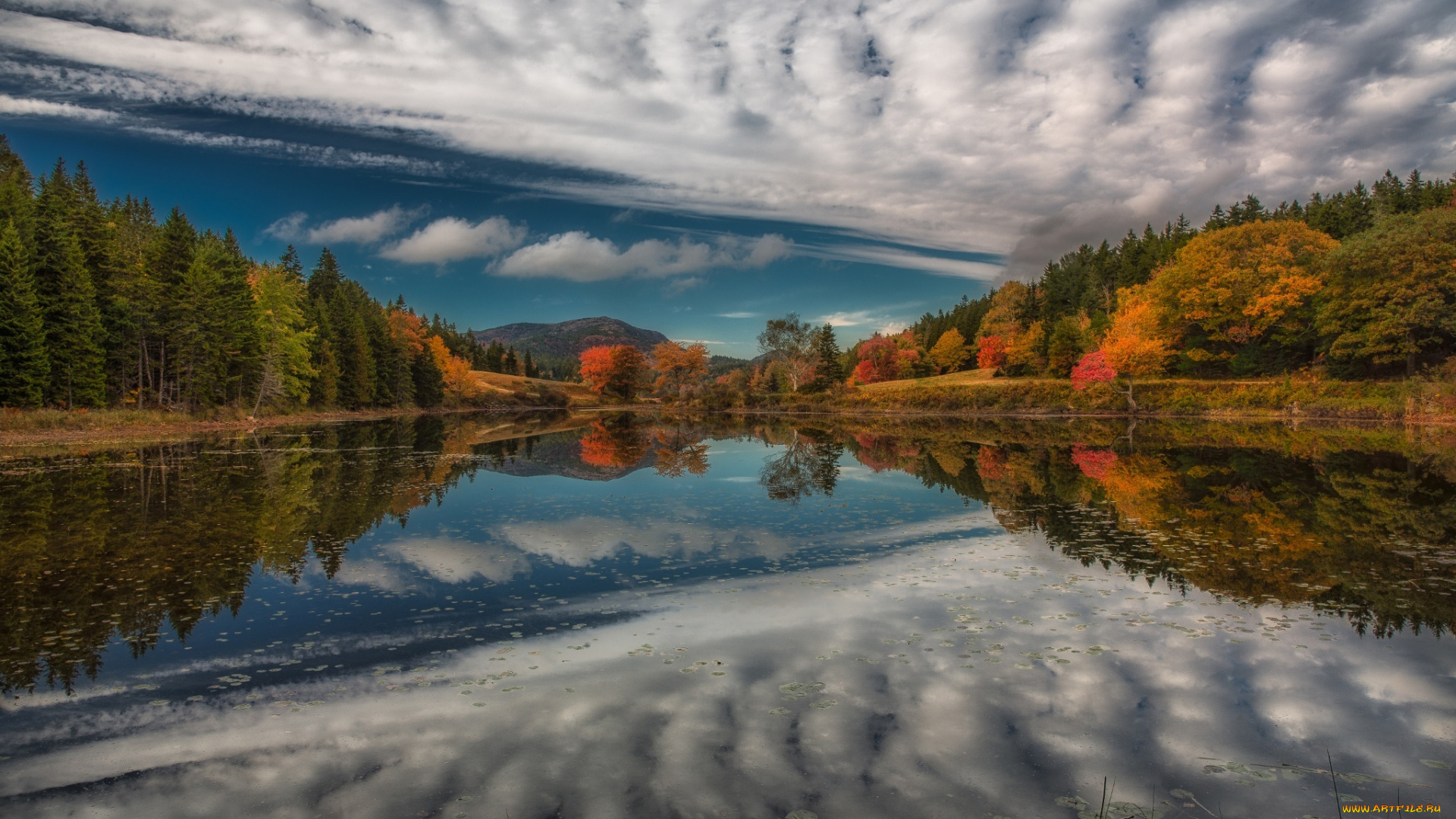 природа, реки, озера, озеро, лес, осень, отражение, река