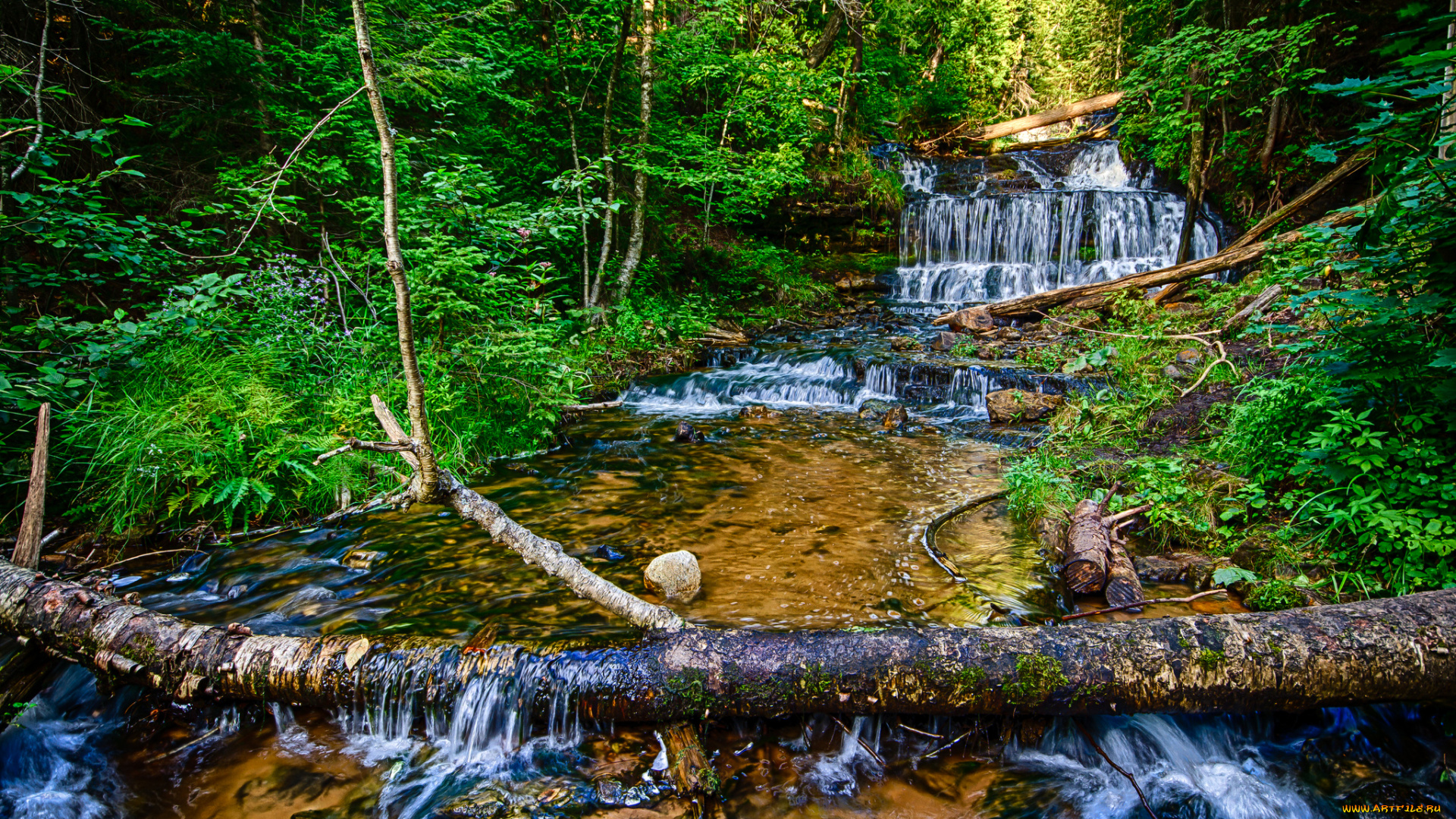 природа, водопады, лес, река, водопад