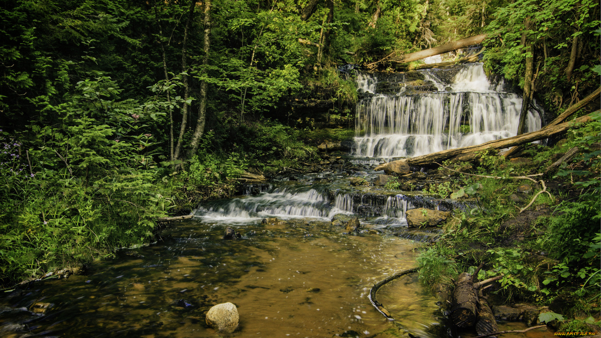 природа, водопады, лес, река, водопад