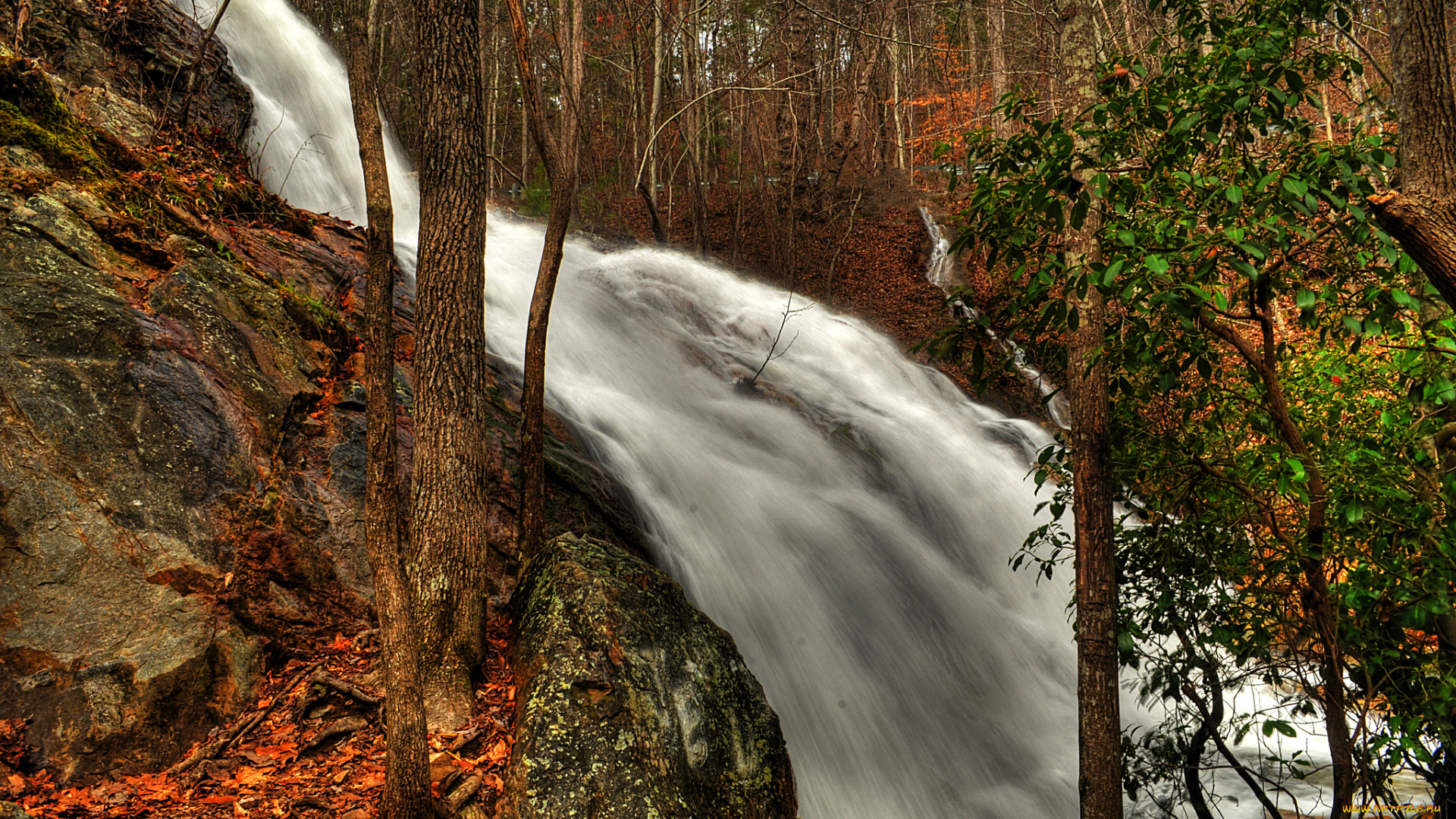 природа, водопады, лес, водопад, река