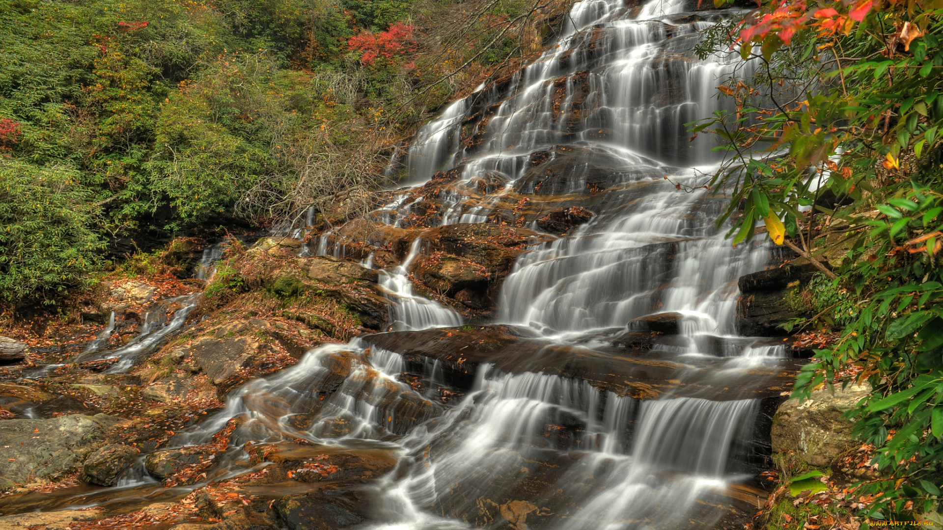 природа, водопады, водопад, лес, река