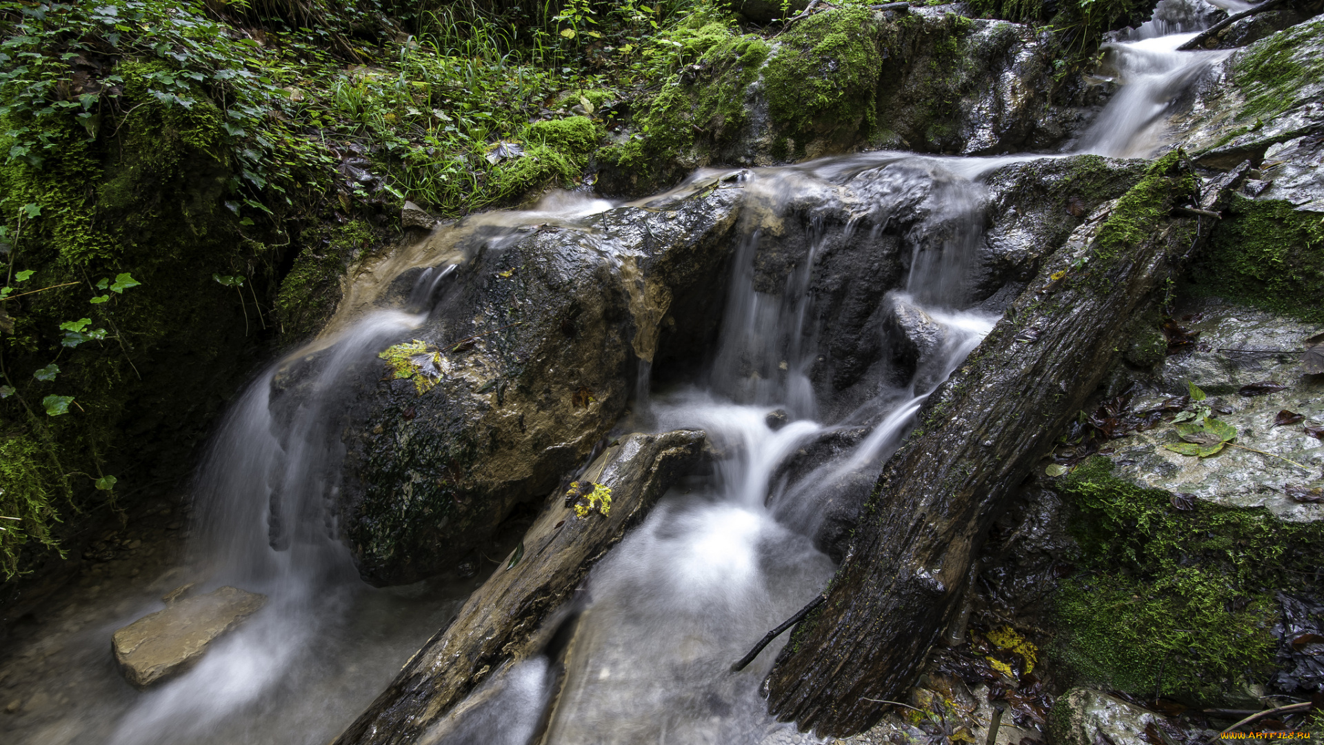 природа, водопады, водопад, река, лес