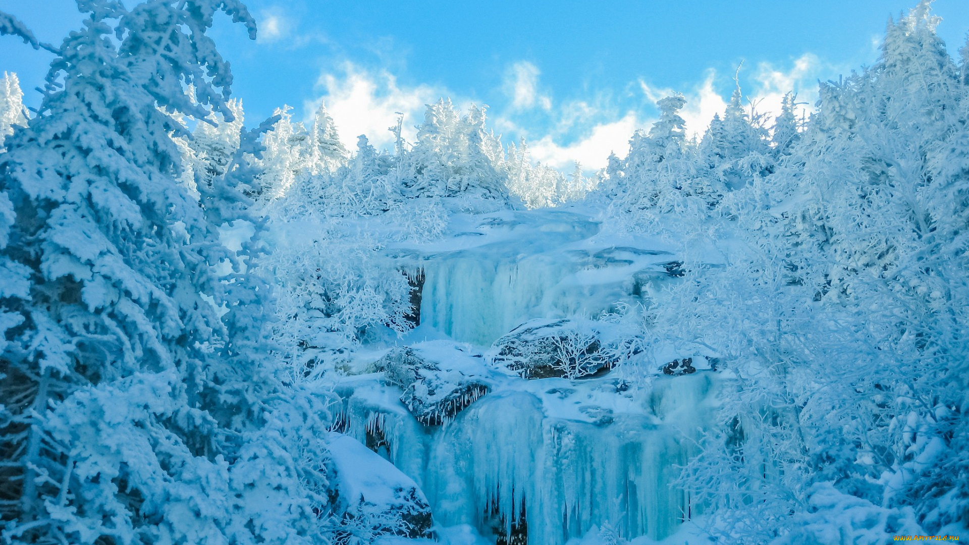 природа, зима, лед, деревья, снег, небо, лес