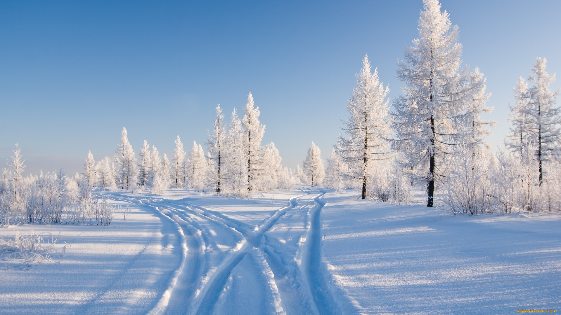 природа, зима, снег, деревья