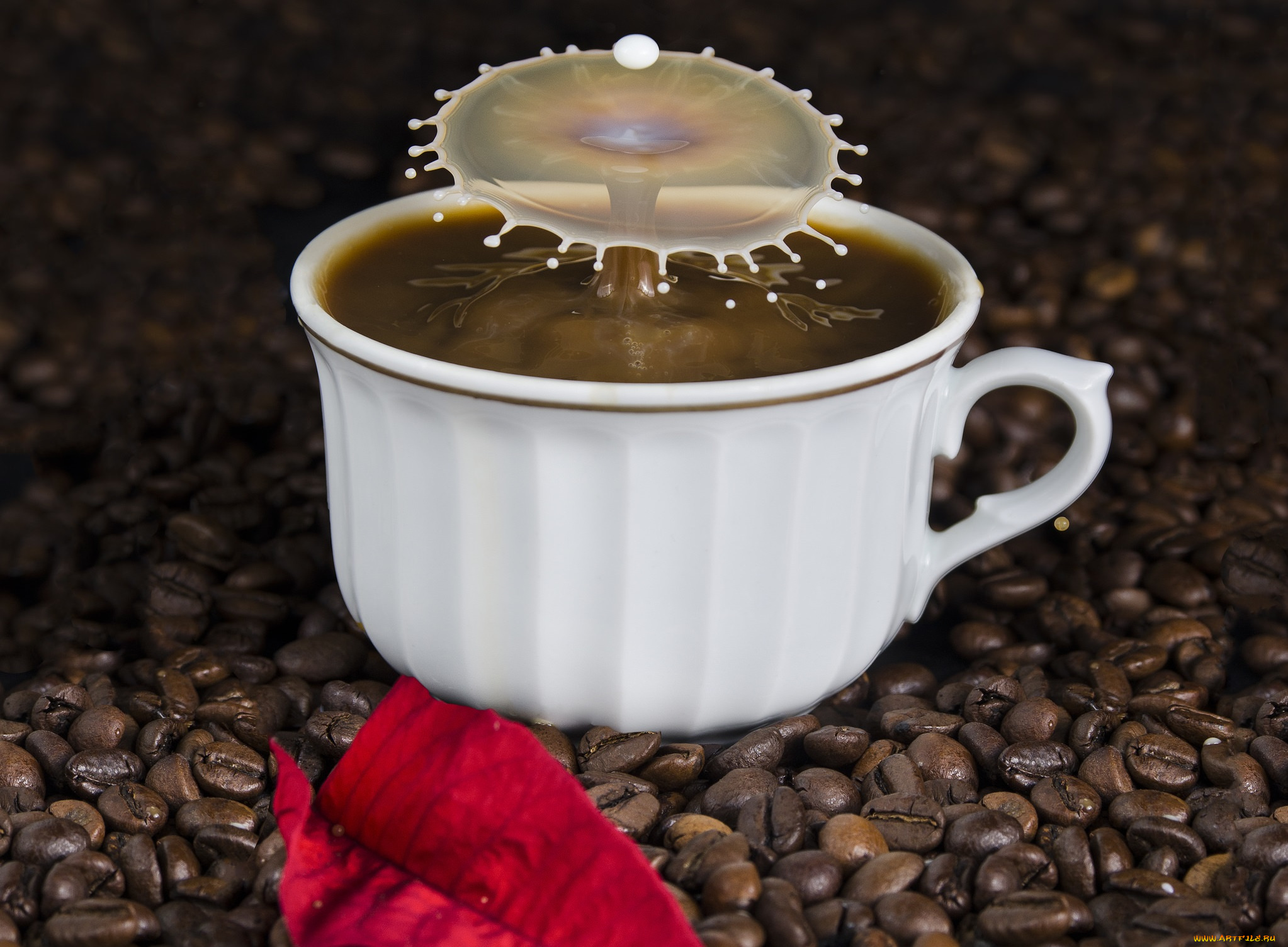 еда, кофе, , кофейные, зёрна, брызги, капля, молоко, зерна, чашка